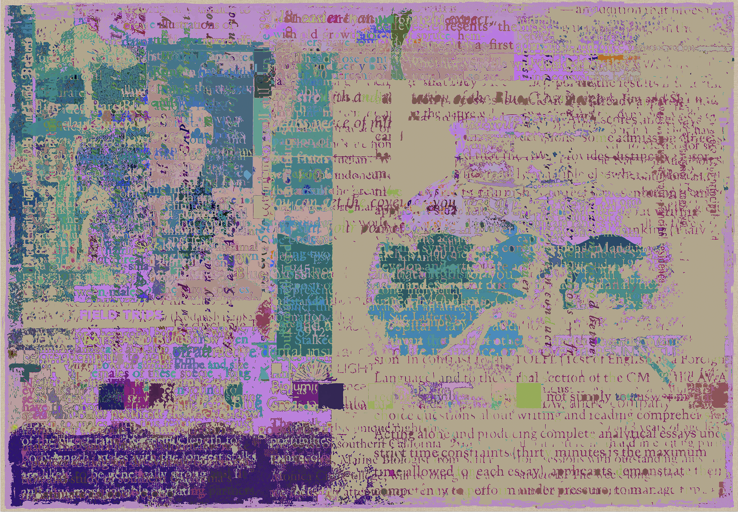 14.png