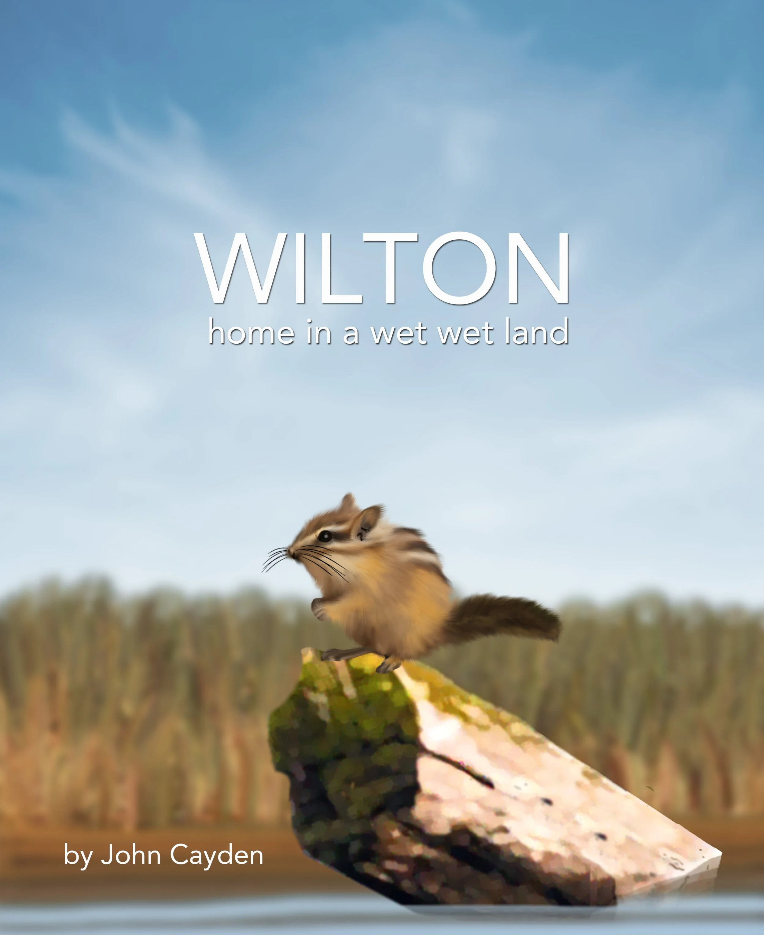 Wilton In a Wet Wet Land Cover