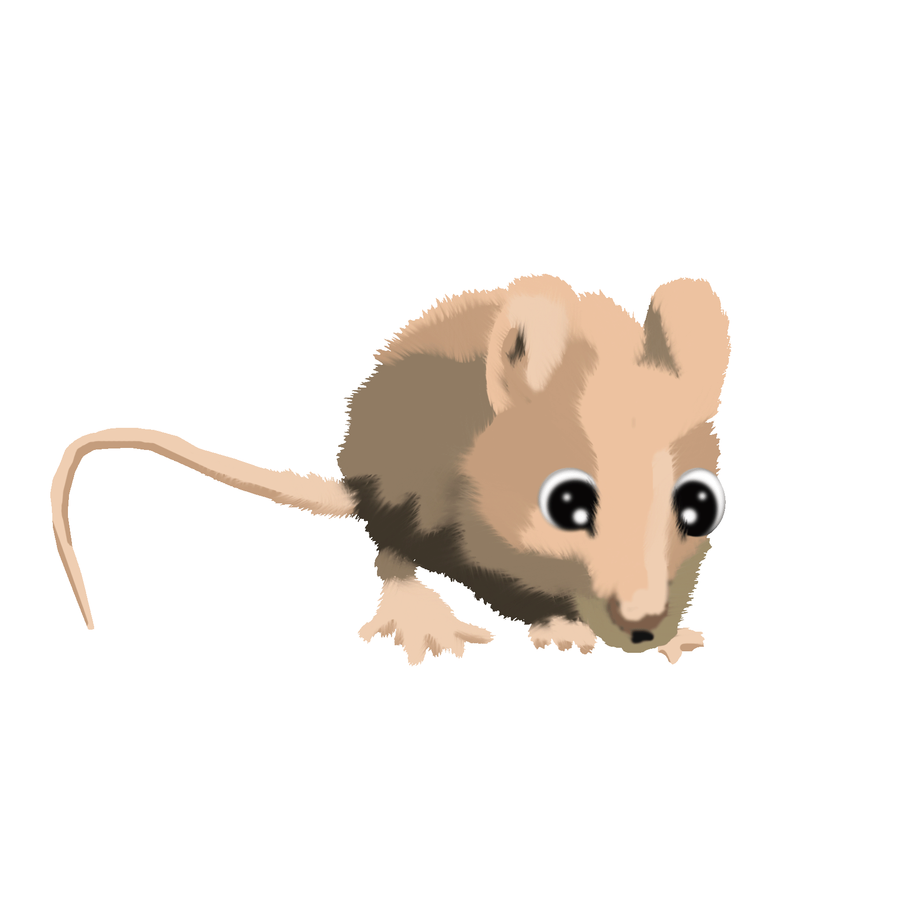 Illustration of Arlo a small Vole from An Amazing Afternoon Adventure with Arlo