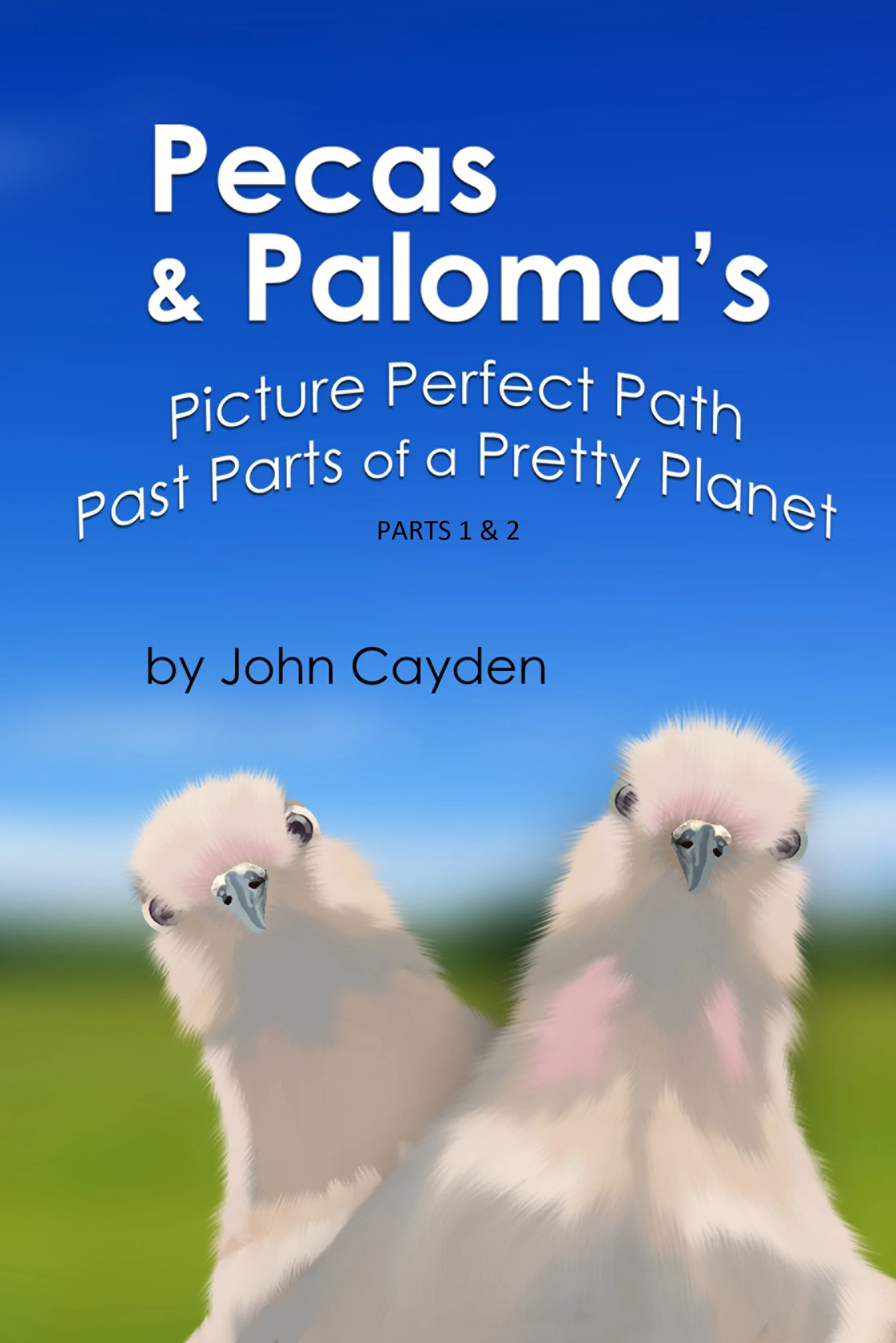 Book cover titled "Pecas & Paloma's Picture Perfect Path Past Parts of a Pretty Planet" by John Cayden, featuring two cartoon-like baby birds with fluffy white feathers, black eyes, and small beaks standing against a blue sky with a green field in the background.