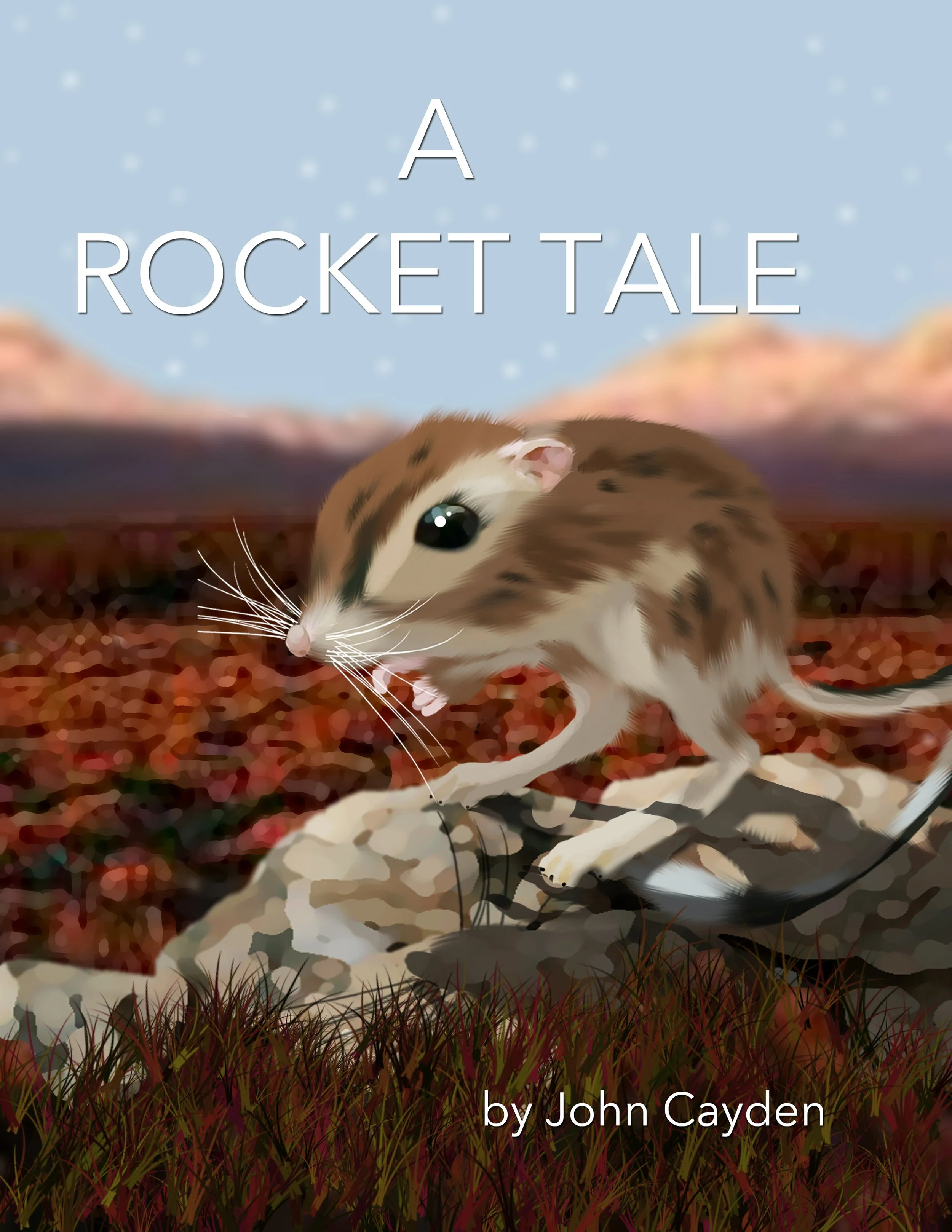 Book cover titled 'A Rocket Tale' by John Cayden. The cover features a cartoon-style mouse with large black eyes, a tiny pink nose, and white whiskers, standing on a rock with a mountainous landscape and a blue sky with clouds in the background.