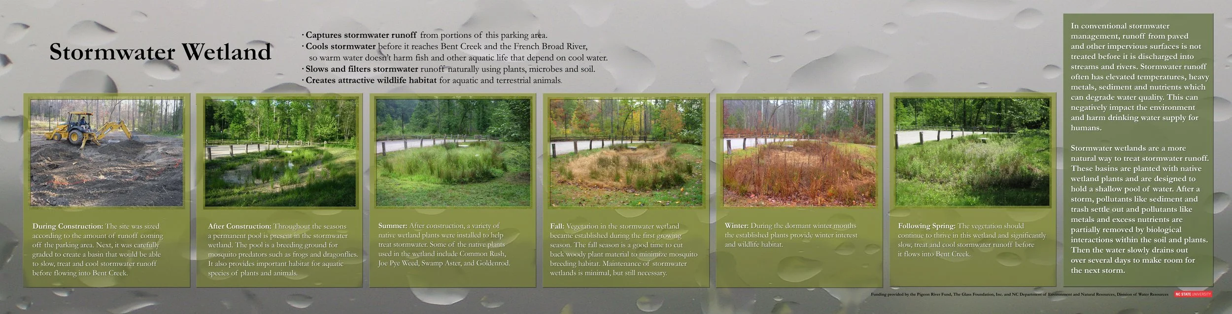 Stormwater Wetlands