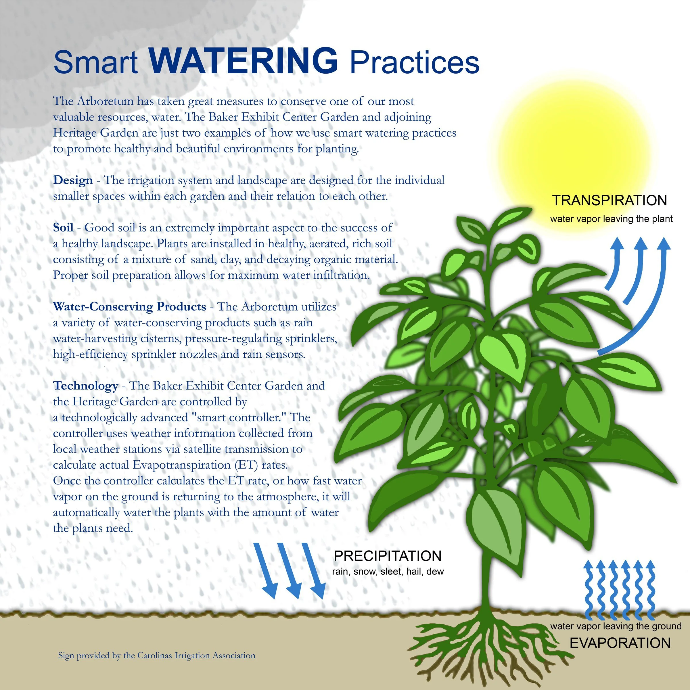Smart Watering Education 
