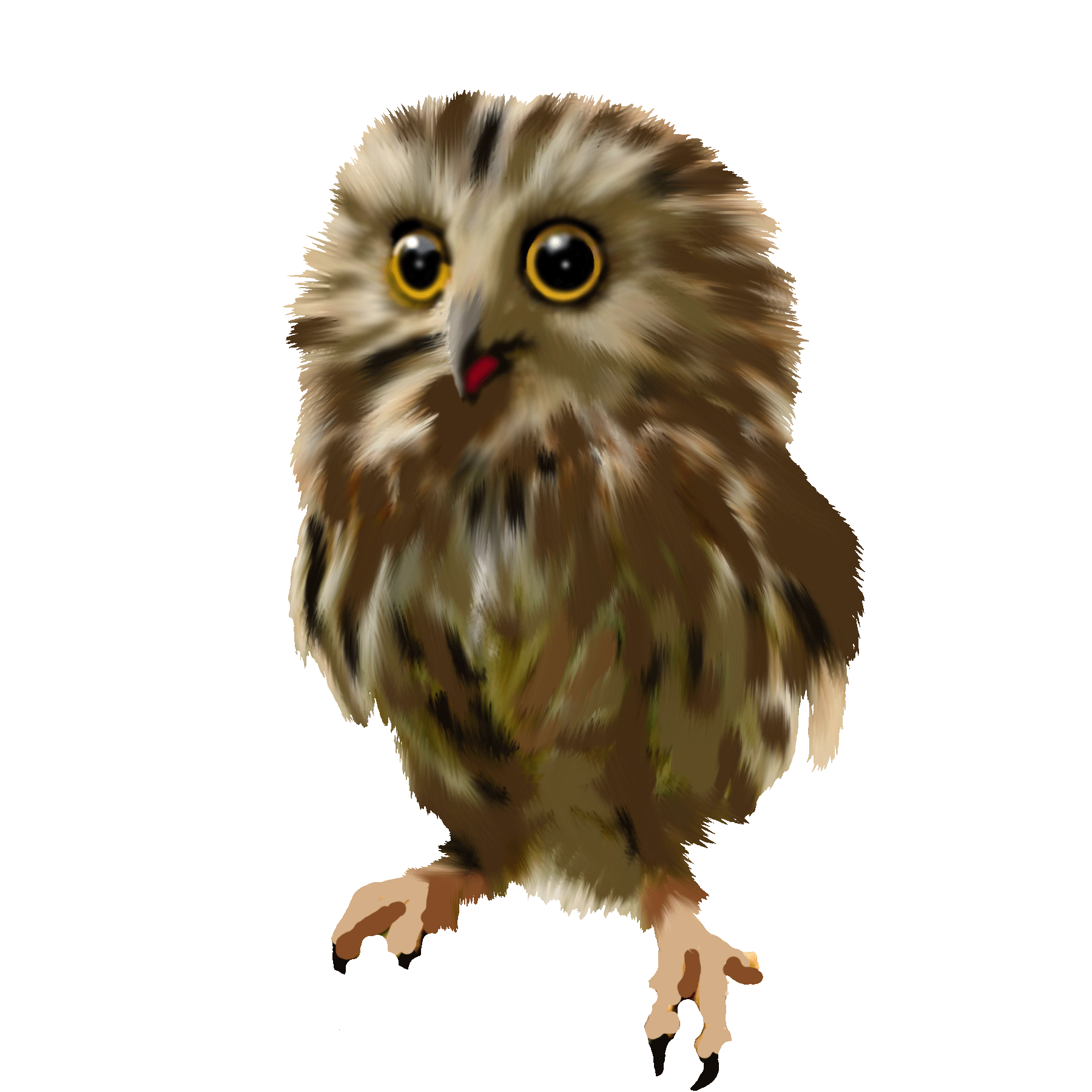 Owl from An Amazing Afternoon Adventure with Arlo