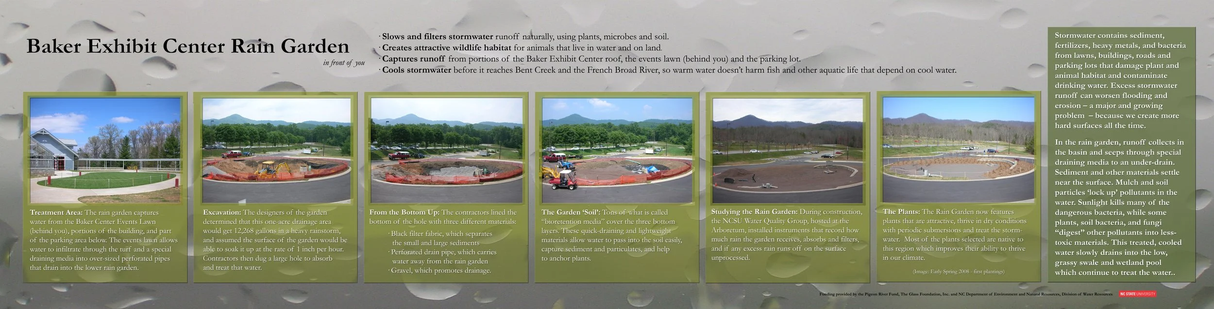 Parking Lot Rain Garden