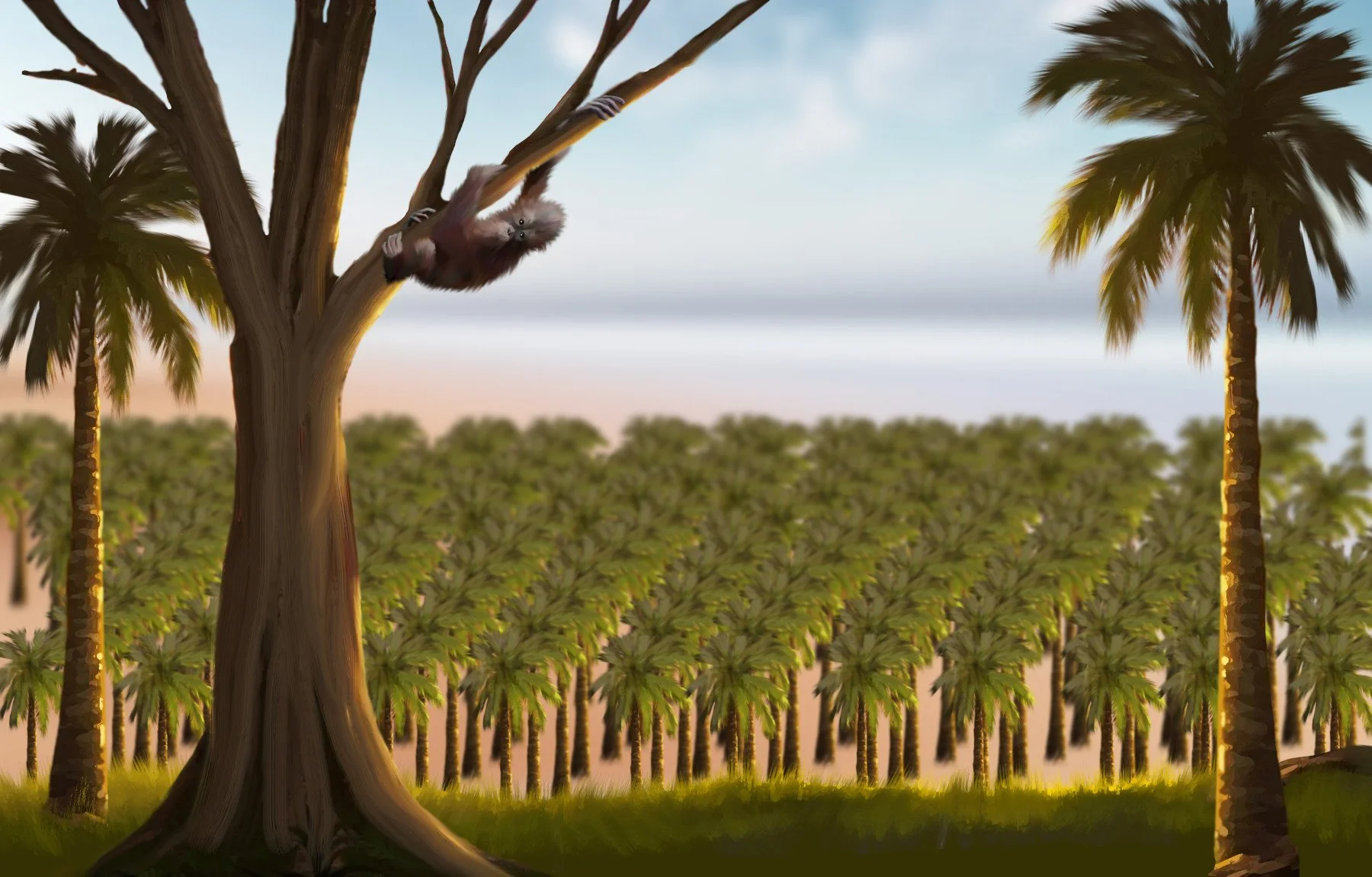 A digital graphic illustration scene of a baby orangutan hanging from a tree branch in a tropical setting with palm oil trees and a background of a plantation.  Book text will discuss contemporary deforestation issues.