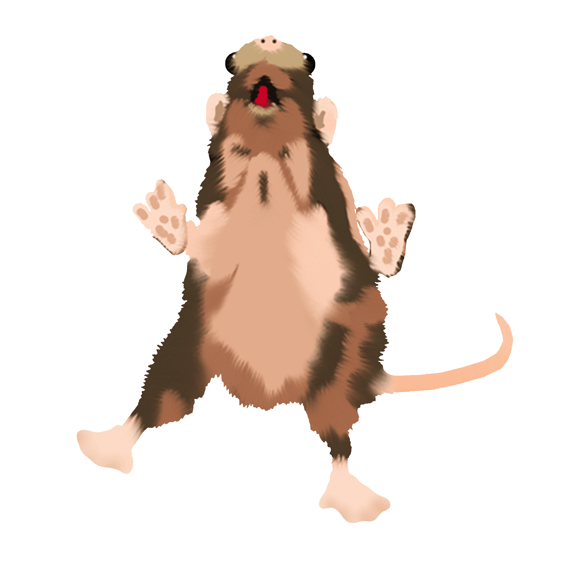 Happy Squirrel dancing on two legs