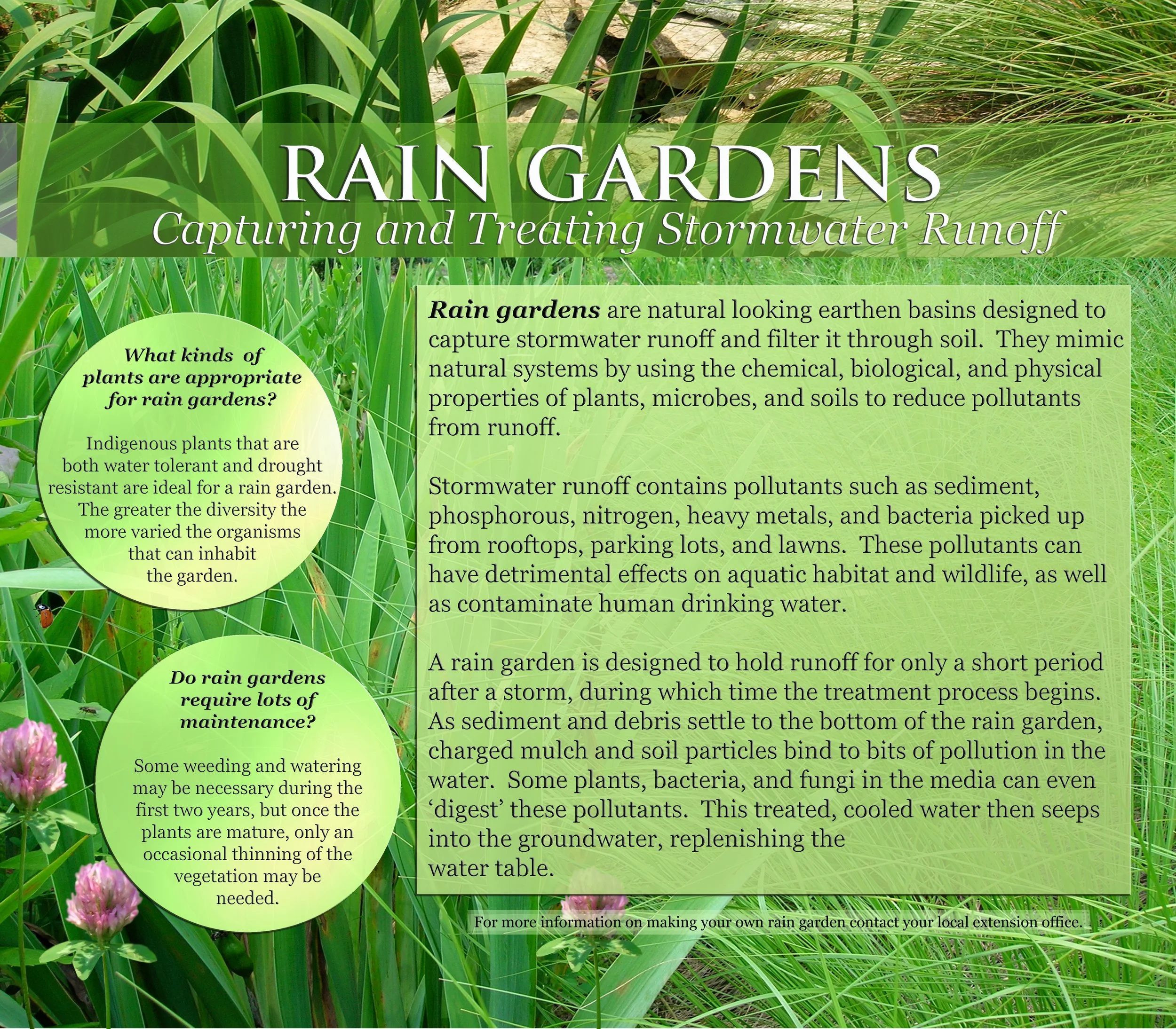 Rain Garden Interpretation Sample