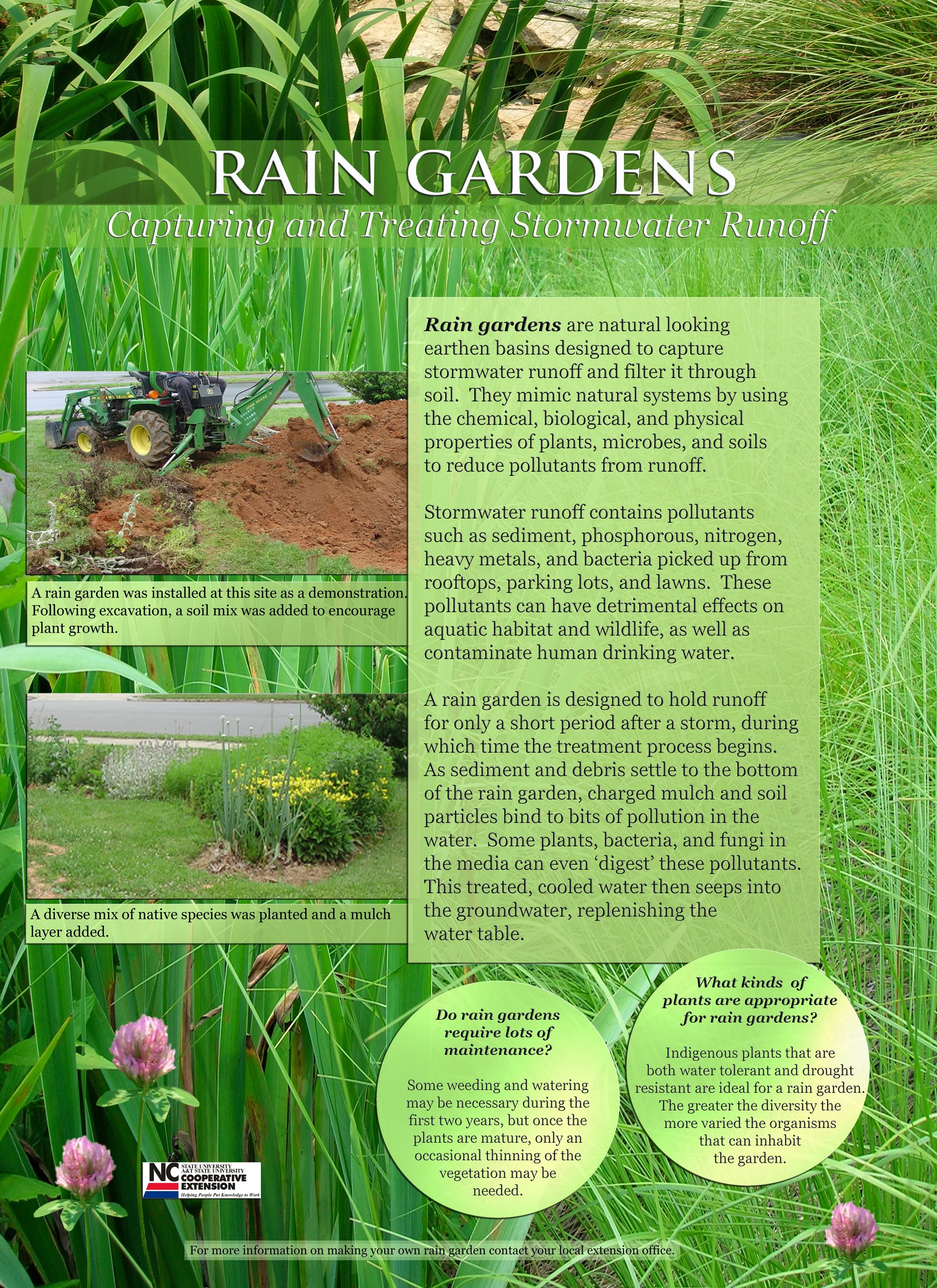 Rain Garden Project Sample