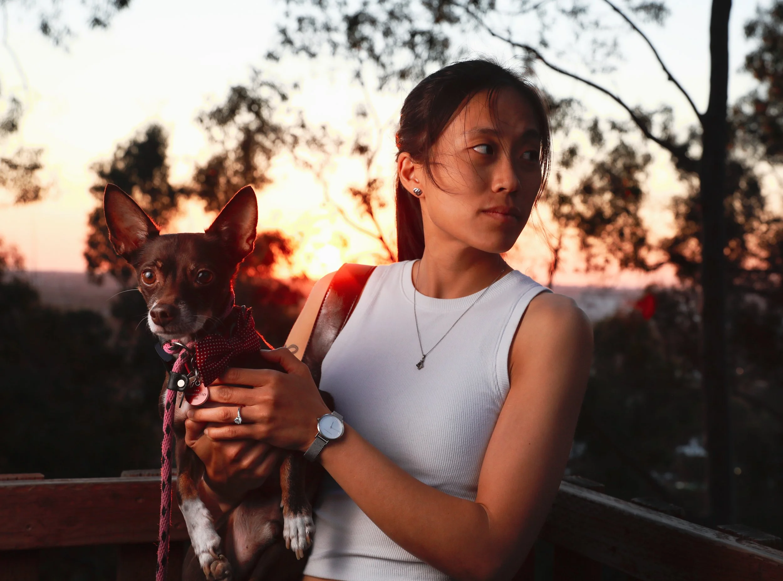 A woman holding a small dog outdoors during sunset, with trees and a colorful sky in the background.