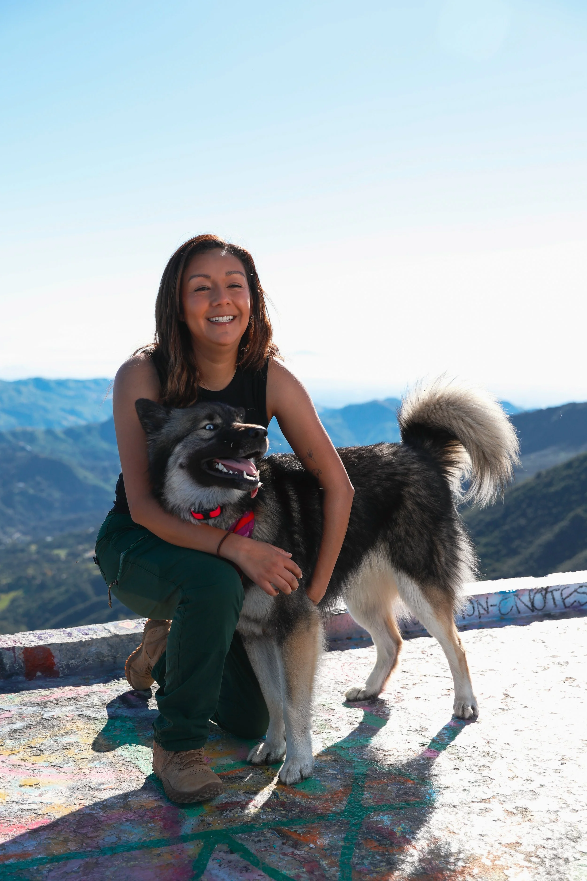 A woman smiling and crouching next to a large Siberian Husky on a colorful concrete surface with mountain views in the background.