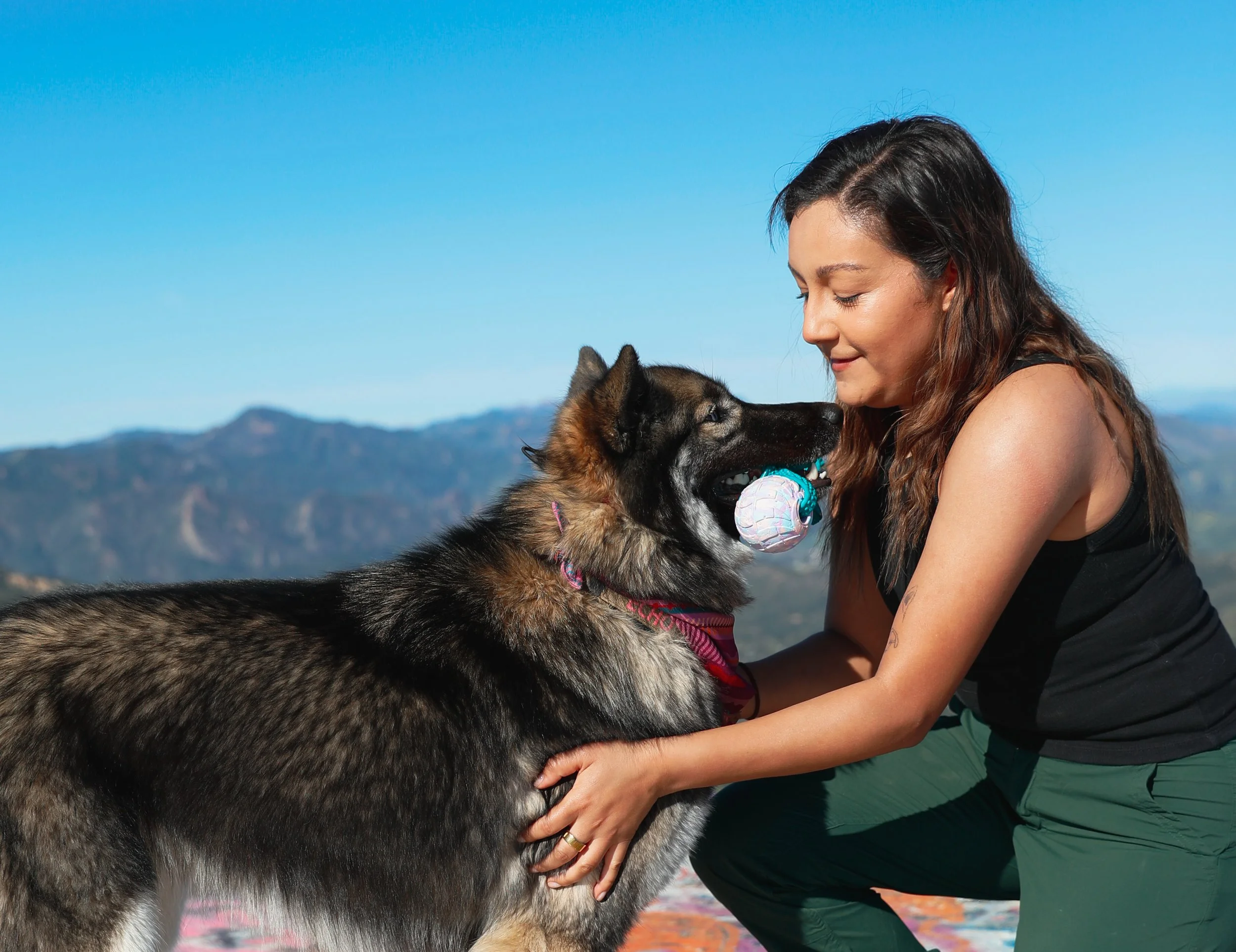 Woman and Siberian Husky playing with a ball outdoors, mountains in background.