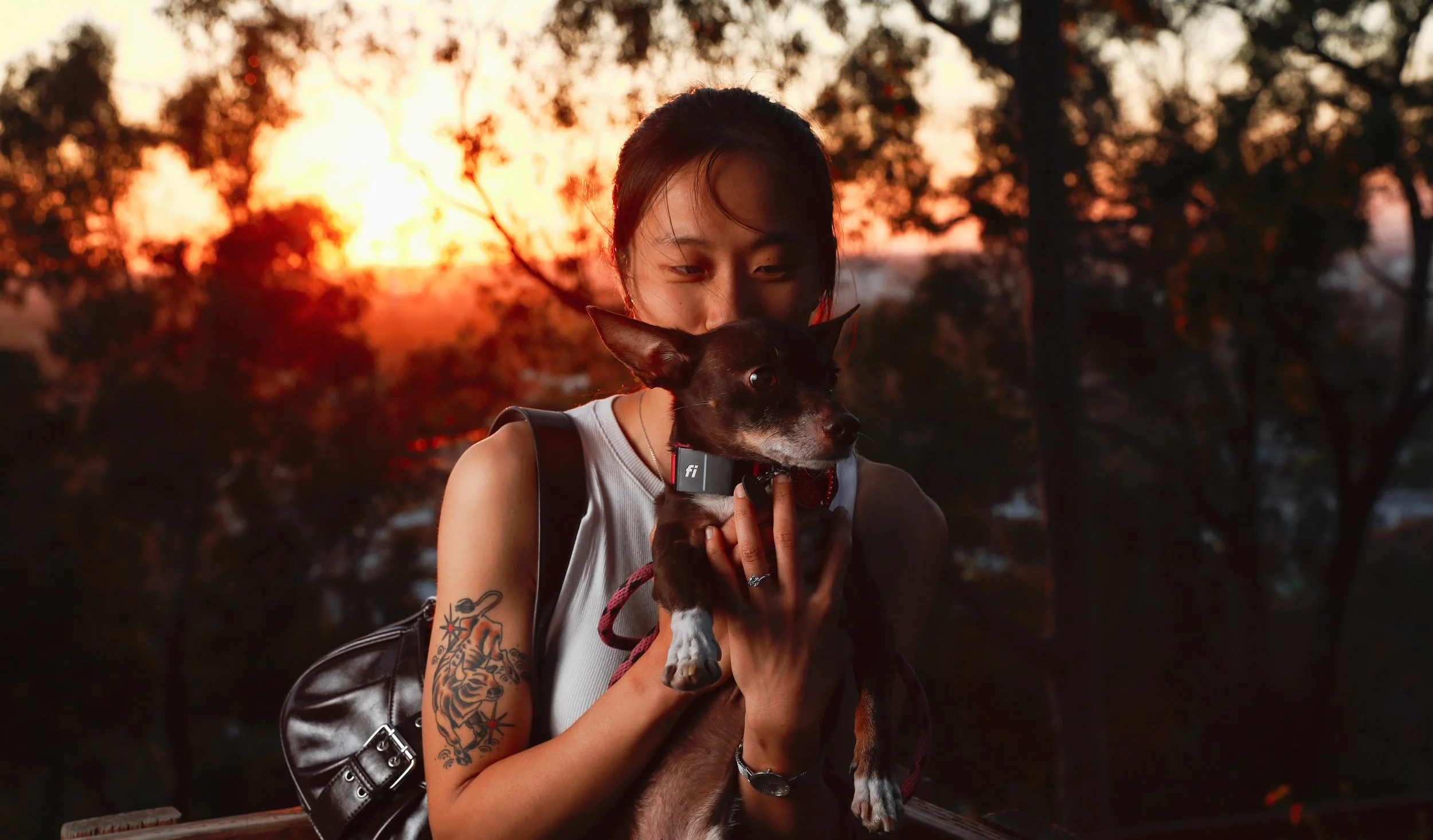 A woman holding a small black dog at sunset outdoors with trees in the background.
