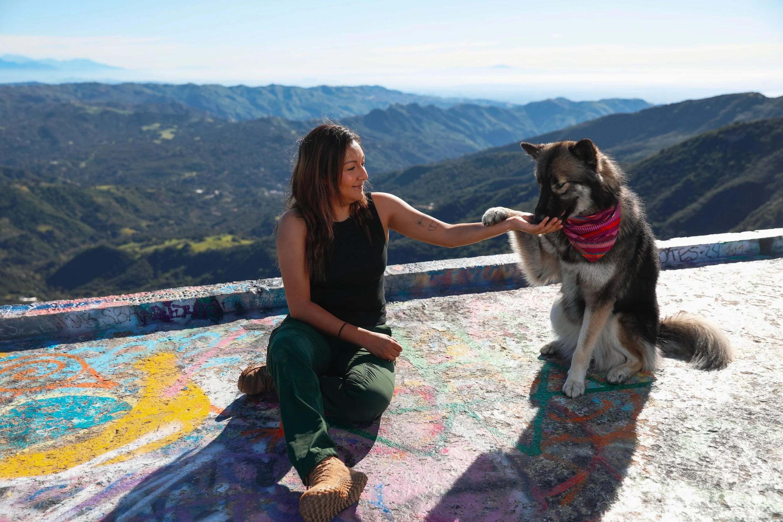A woman kneeling on a graffitied concrete surface, reaching out to a sitting Husky dog wearing a red bandana, with a scenic mountainous landscape in the background.