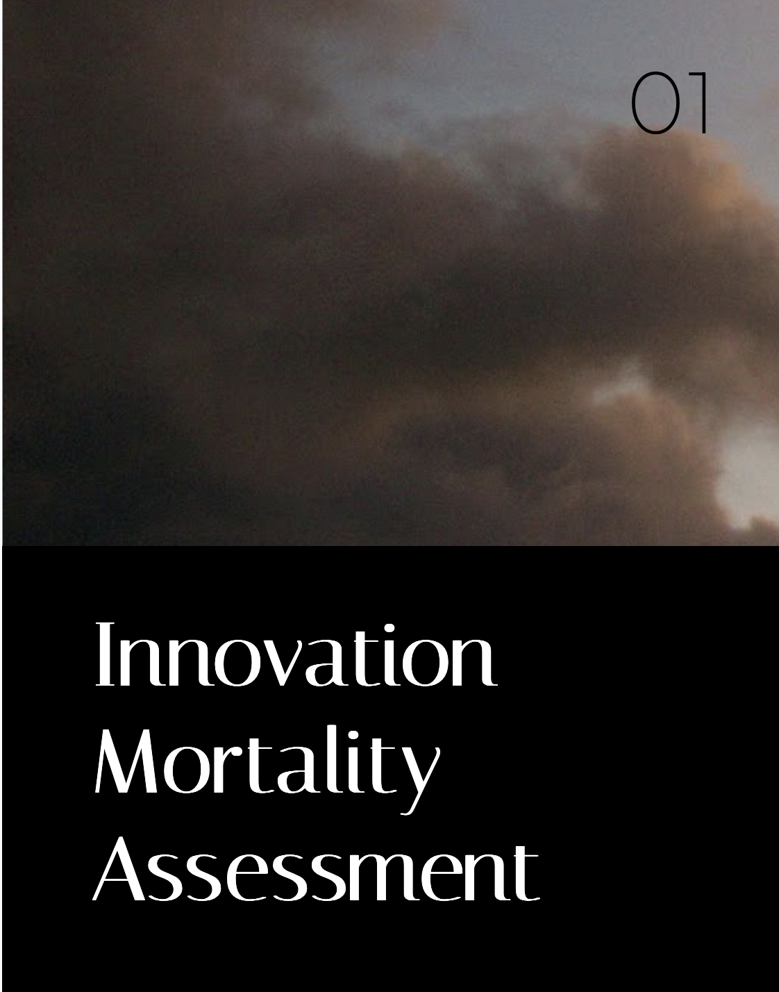 Innovation Mortality Assessment