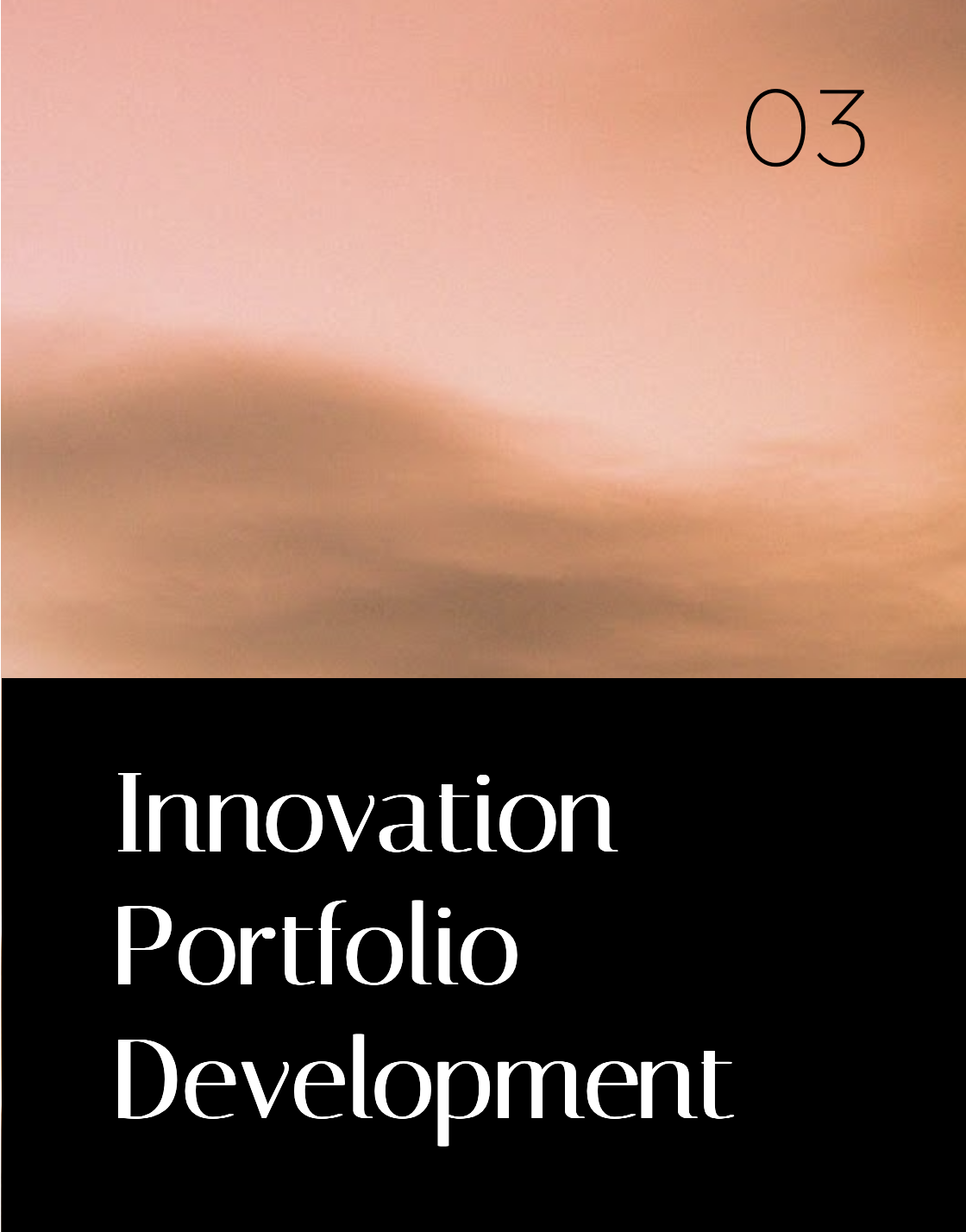 Innovation Portfolio Development