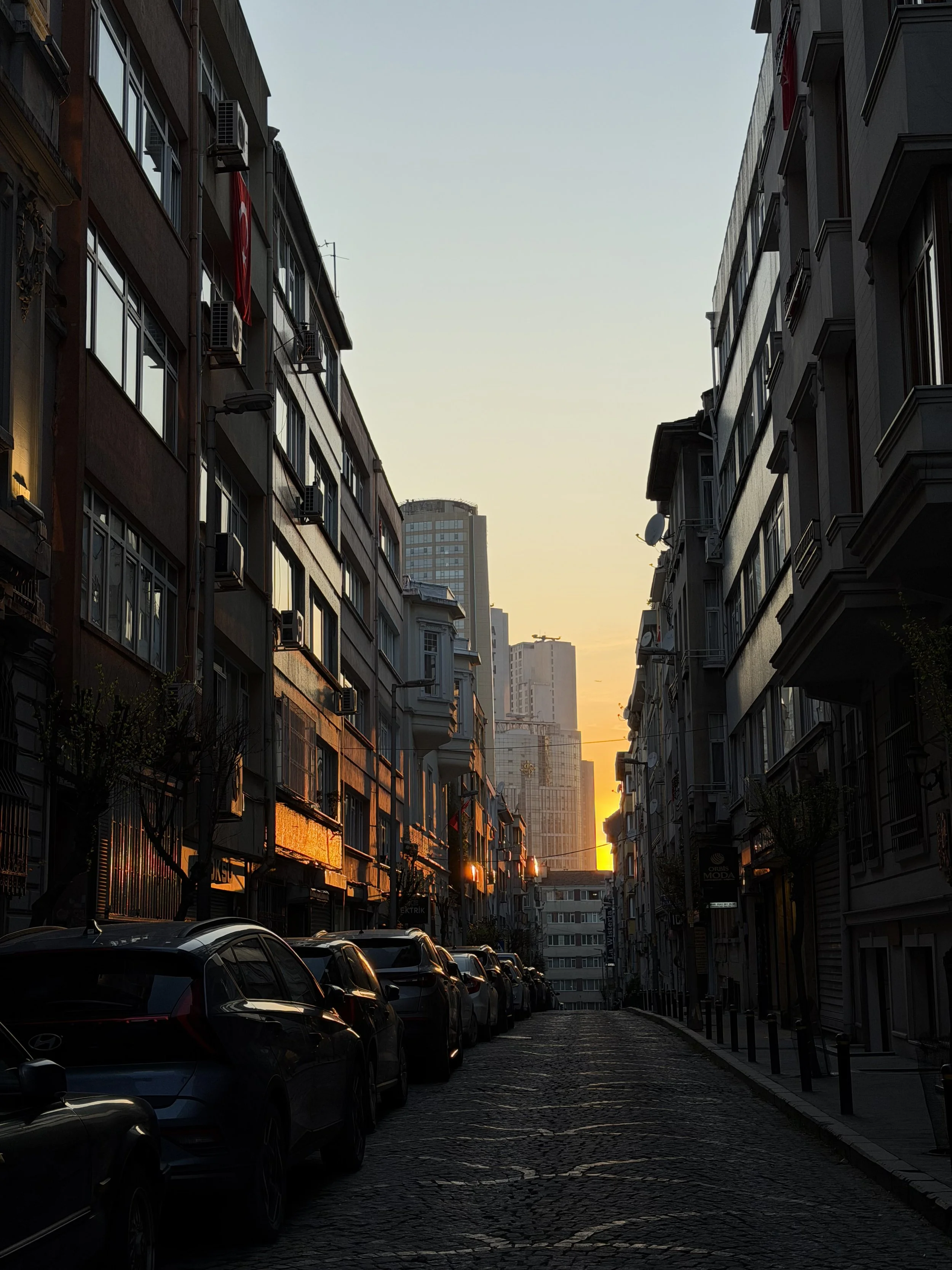 IMG_8438.jpeg