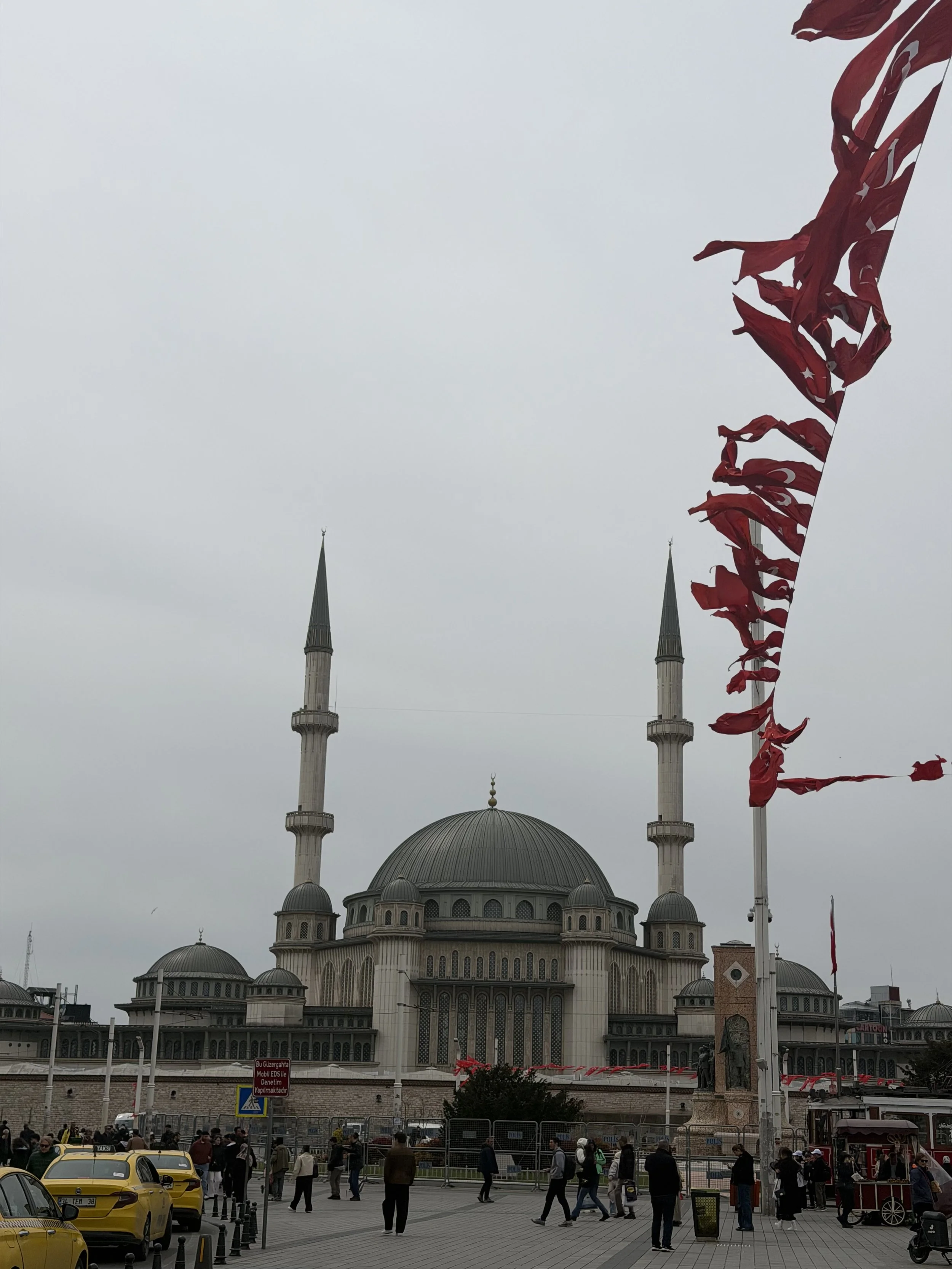 IMG_9955.jpeg