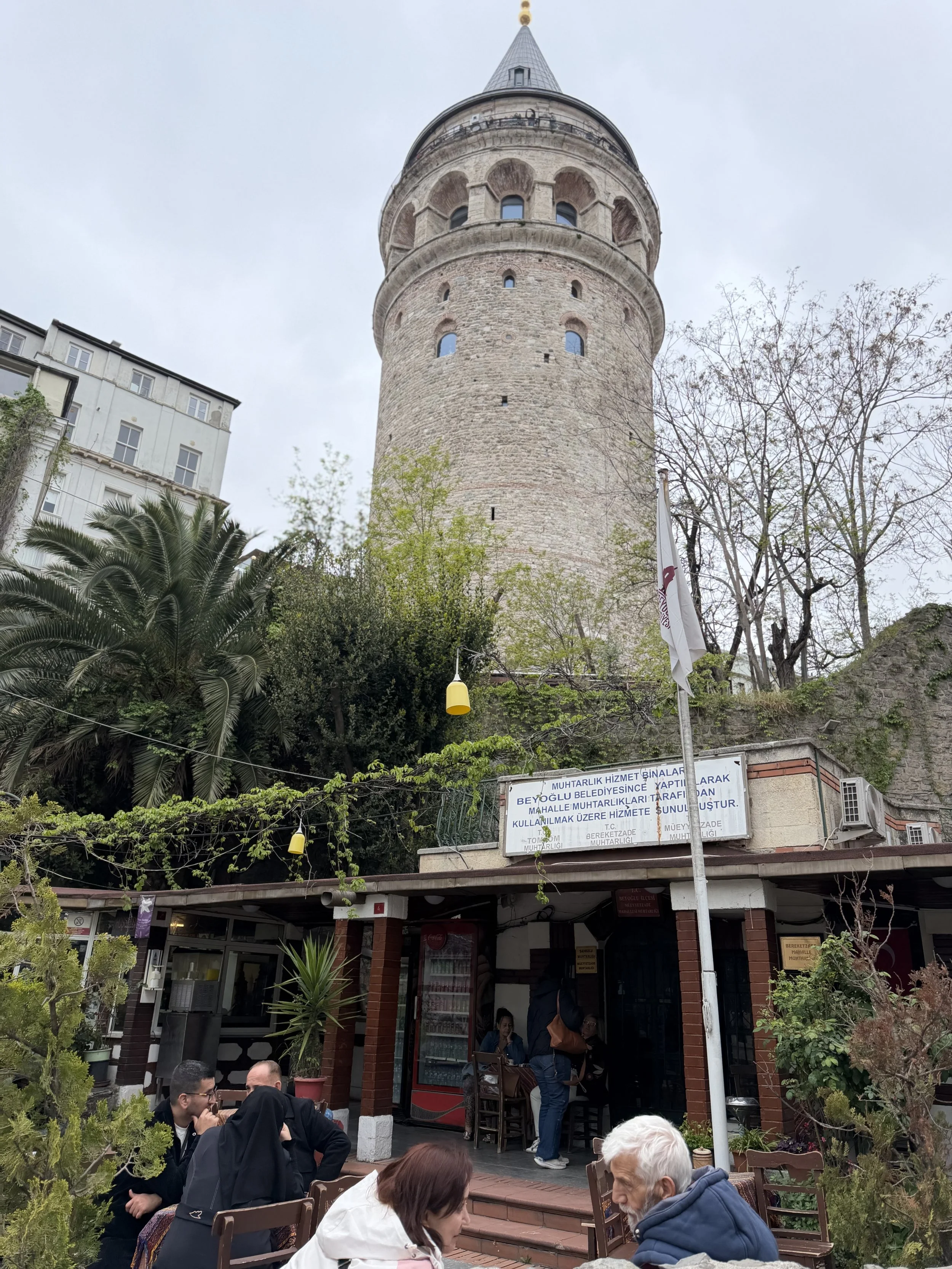 IMG_0010.jpeg