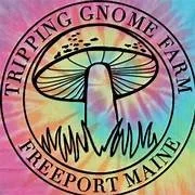 Gnome Garden-Making at Tripping Gnome Farm