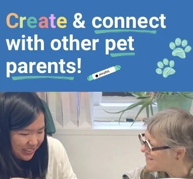 Pet Story 
