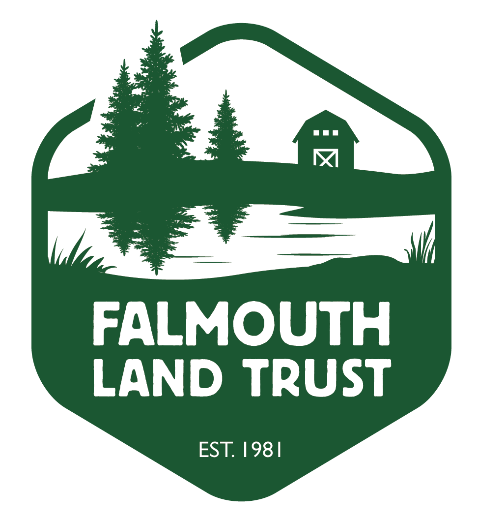 Trail Fest with Falmouth Land Trust