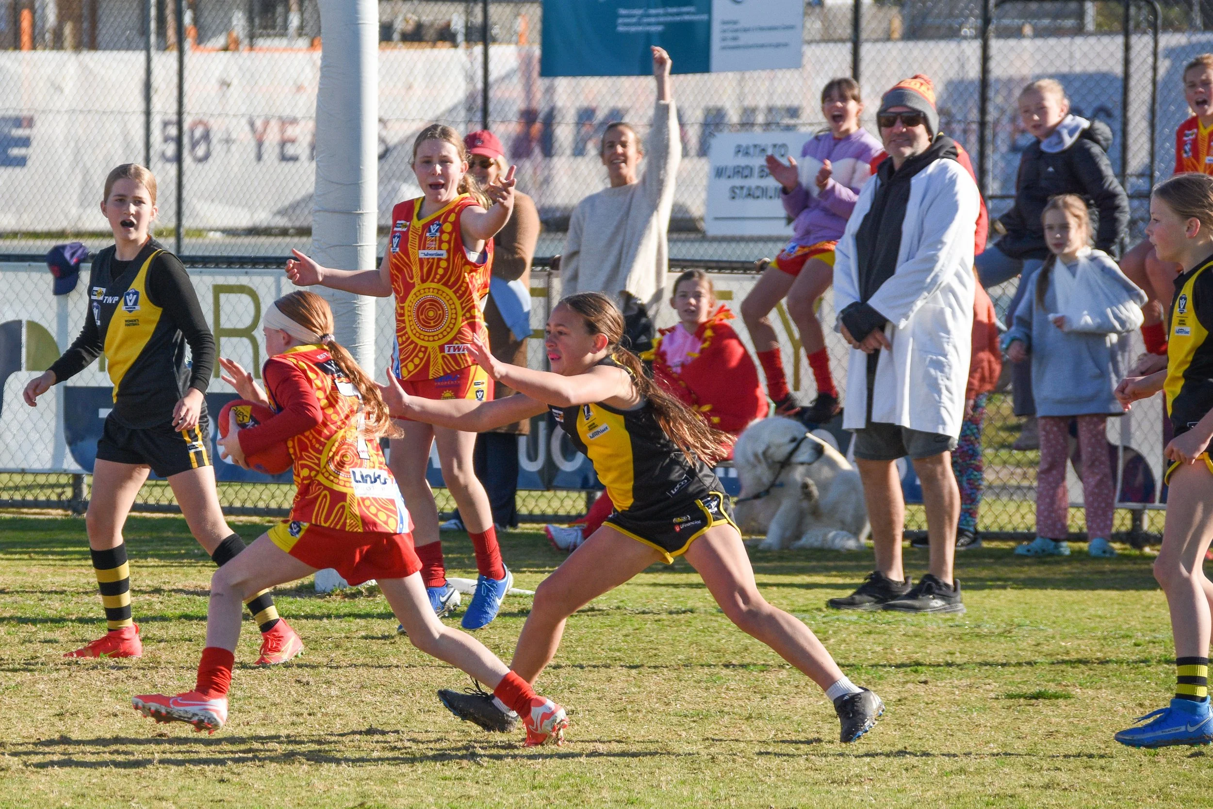 Young girls playing Australian rules football on the field, some girls running with the ball, others cheering and watching from the sidelines. A man and children are behind the fence watching the game.
