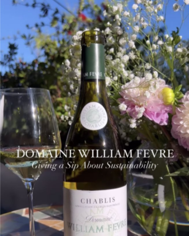 CULTIVATING INFLUENCER BUZZ