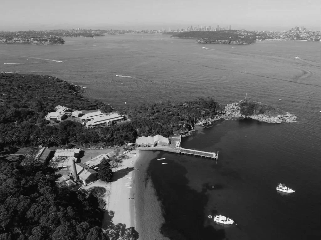 Release: Revive Australia welcomes One Nation’s return to net-negative migration