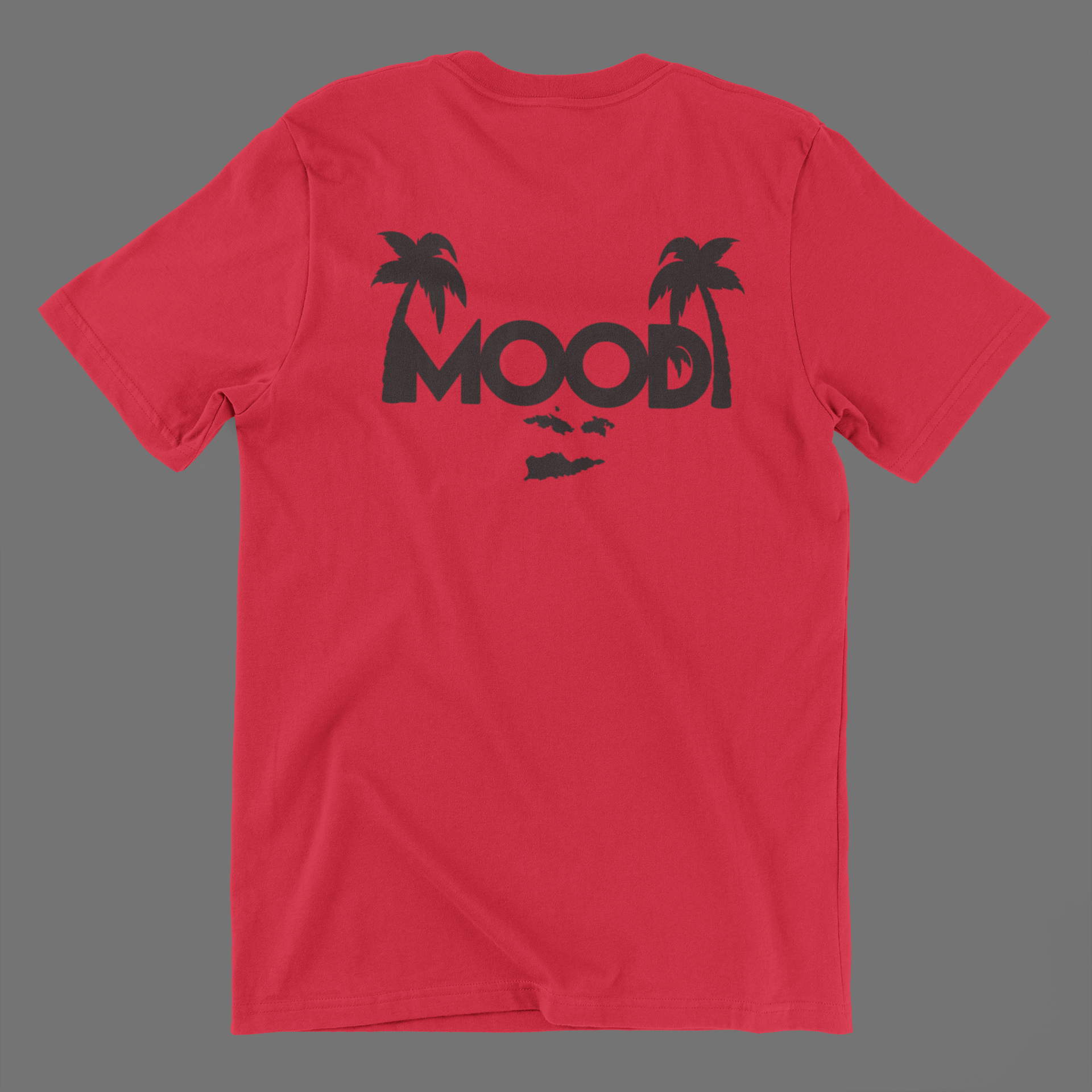 t-shirt-mockup-laid-over-a-solid-background-167-el (7).png