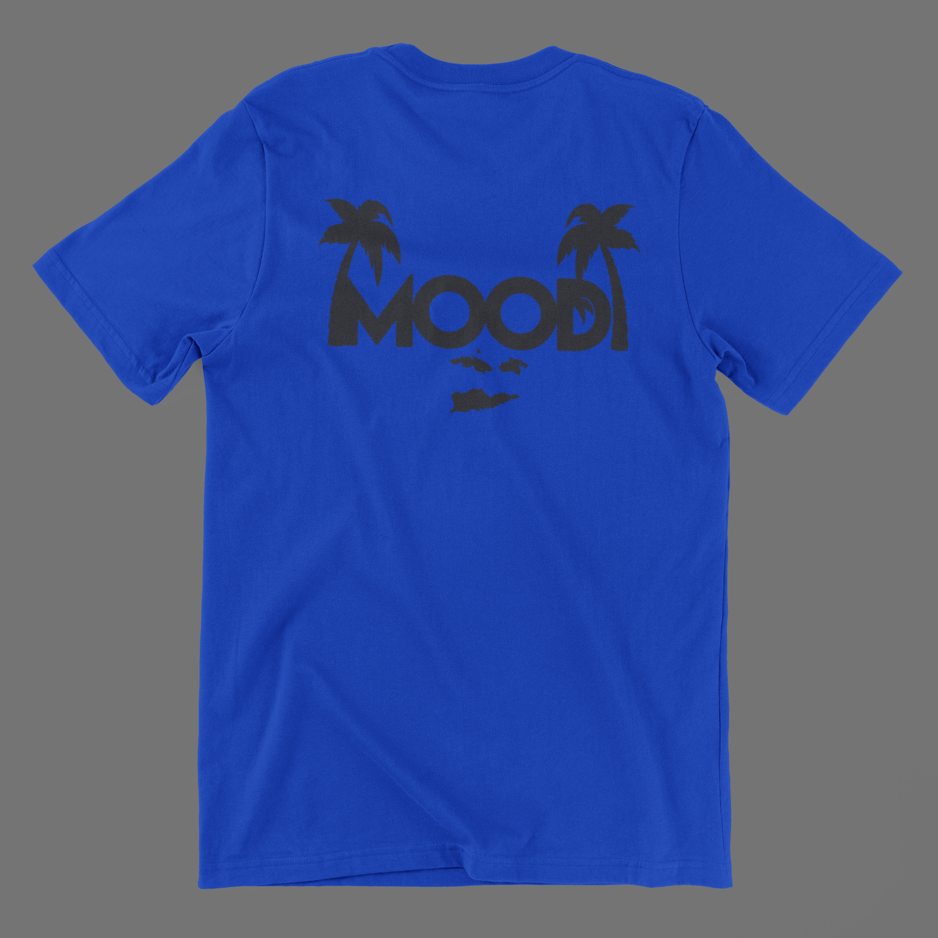 t-shirt-mockup-laid-over-a-solid-background-167-el (2).png