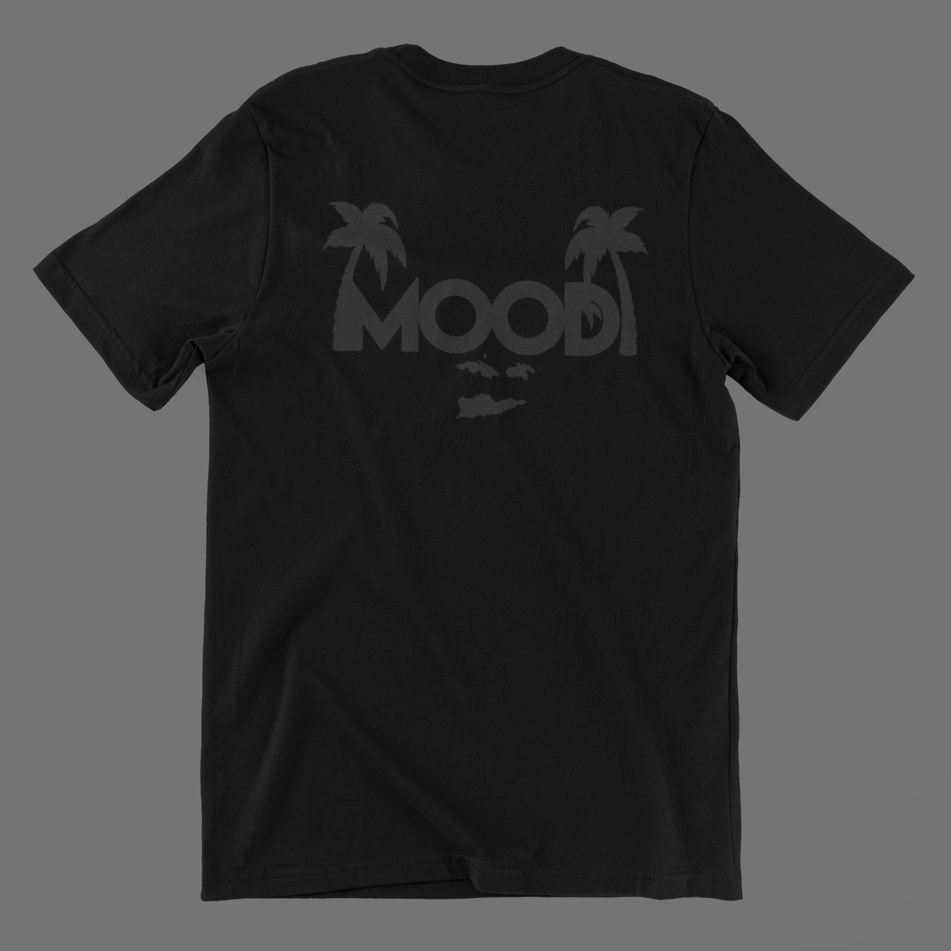 t-shirt-mockup-laid-over-a-solid-background-167-el (1).png