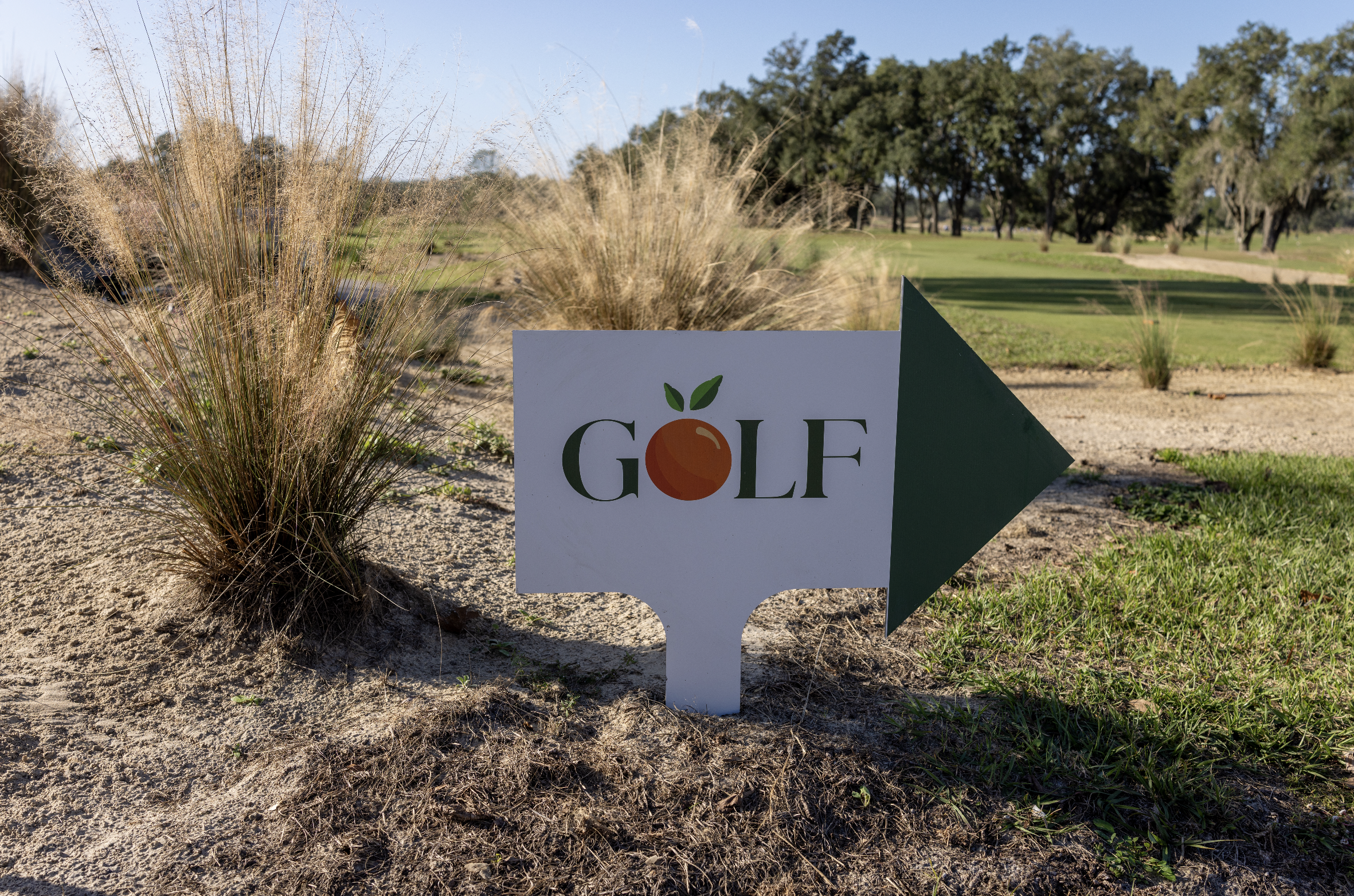 Screenshot 2025-12-22 at 11.11.11 AM.png