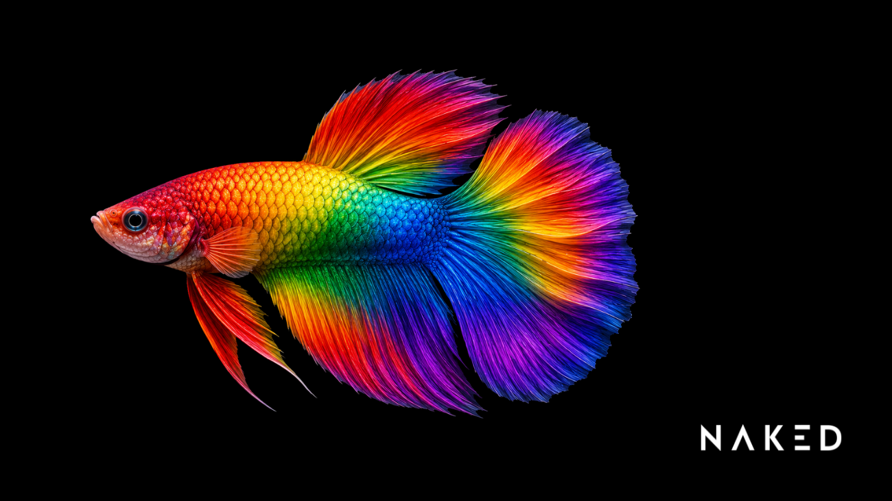 Pride Month, Fish and the Team