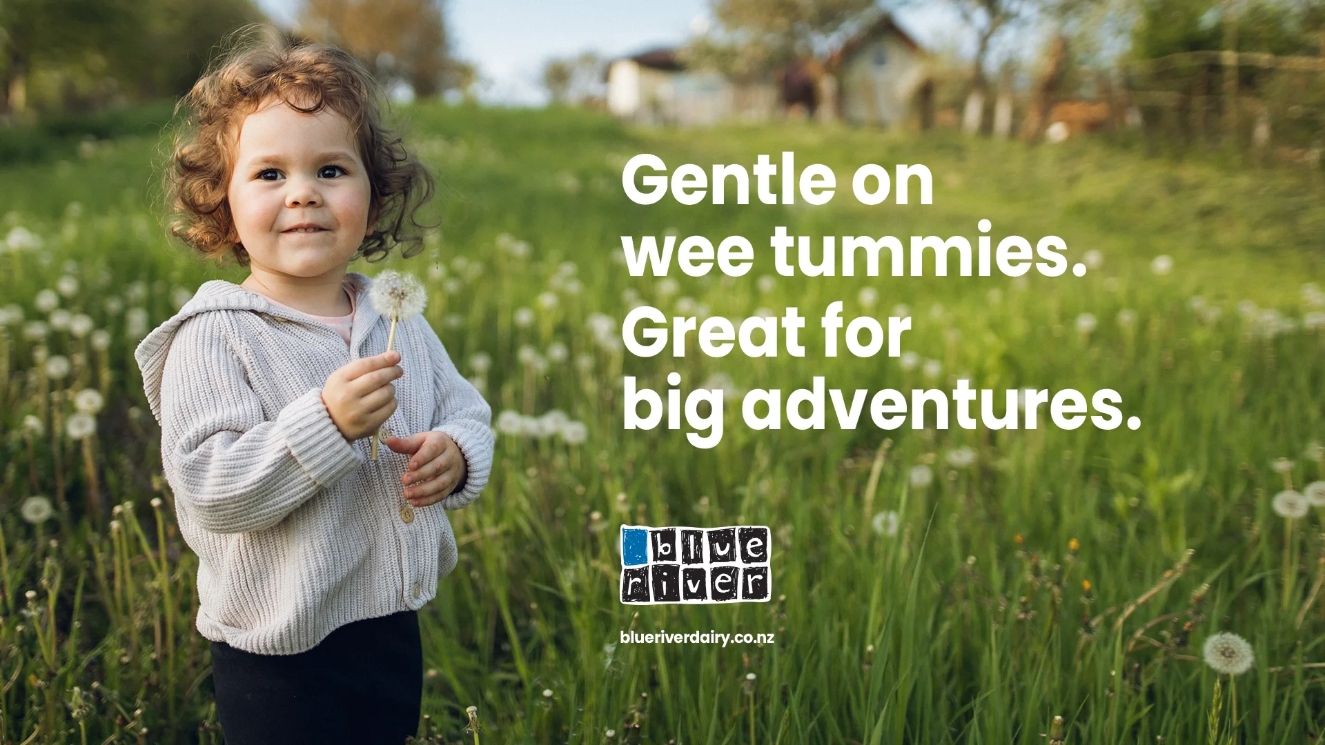 230127_BRD Portfolio 4.webp