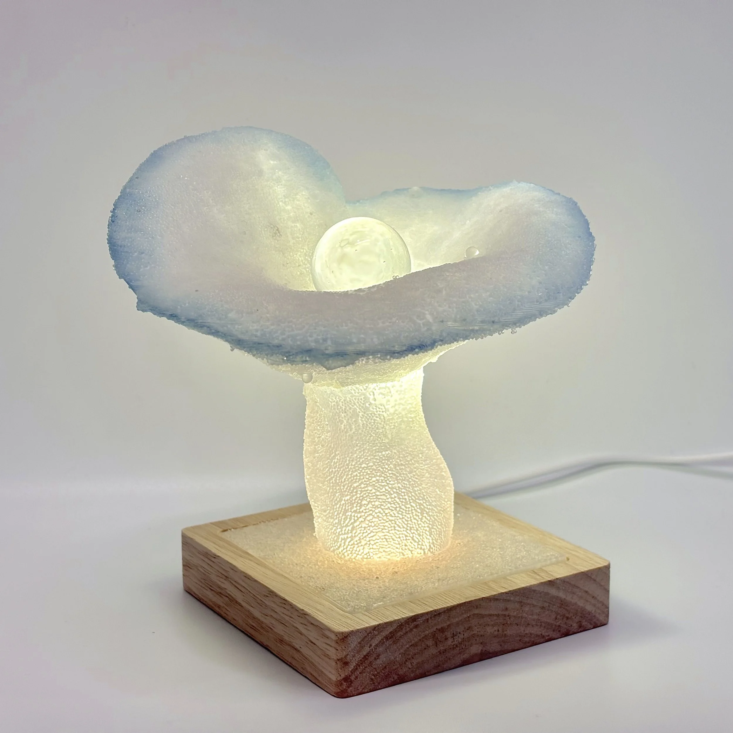 Mushroom Lamp _No.4