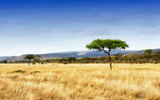 Climate Friendly Forecasting