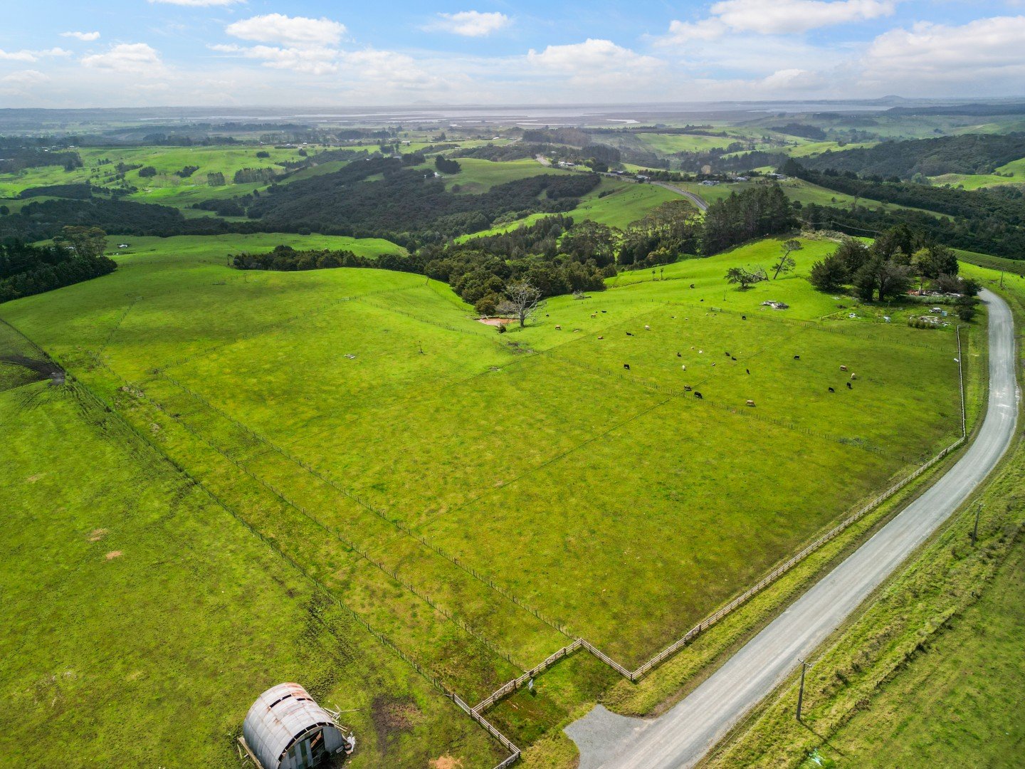 20251017-DJI_0413.jpg