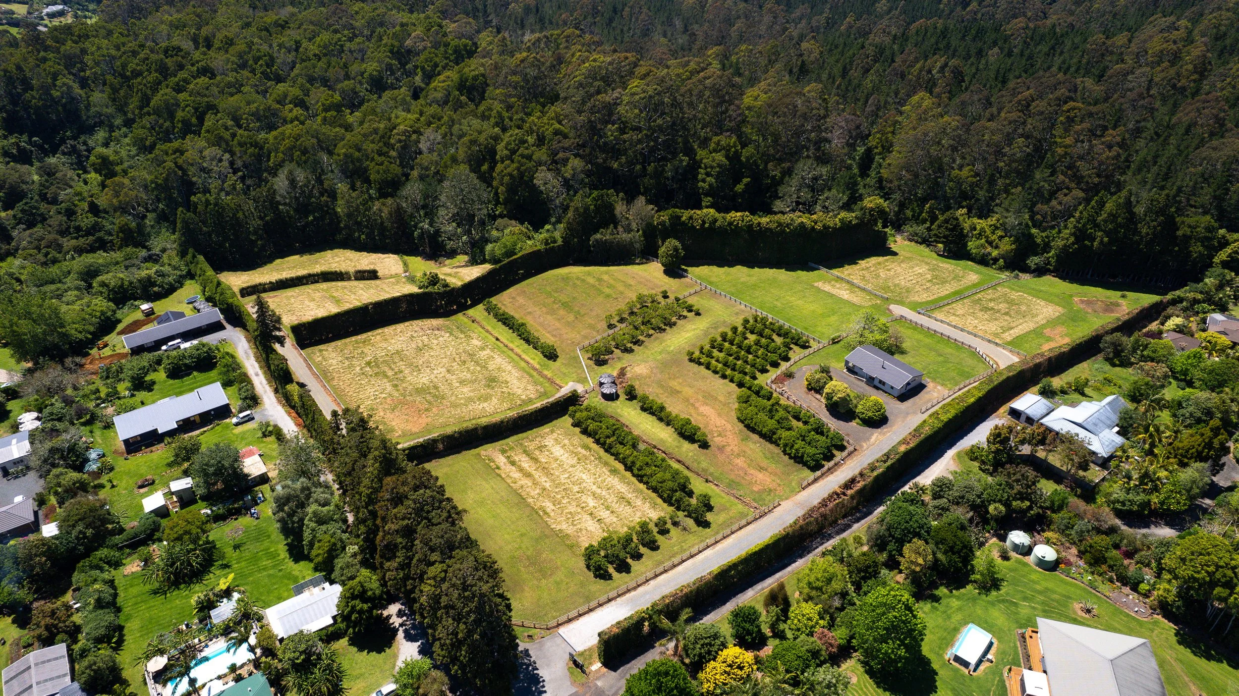 DJI_0283.jpg