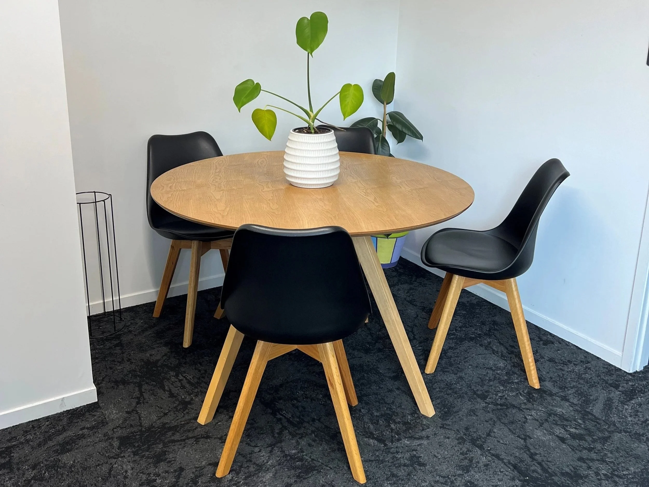 A round wooden table with four black chairs and a white potted plant with large green leaves in a white ceramic vase, set against white walls and a black carpeted floor.