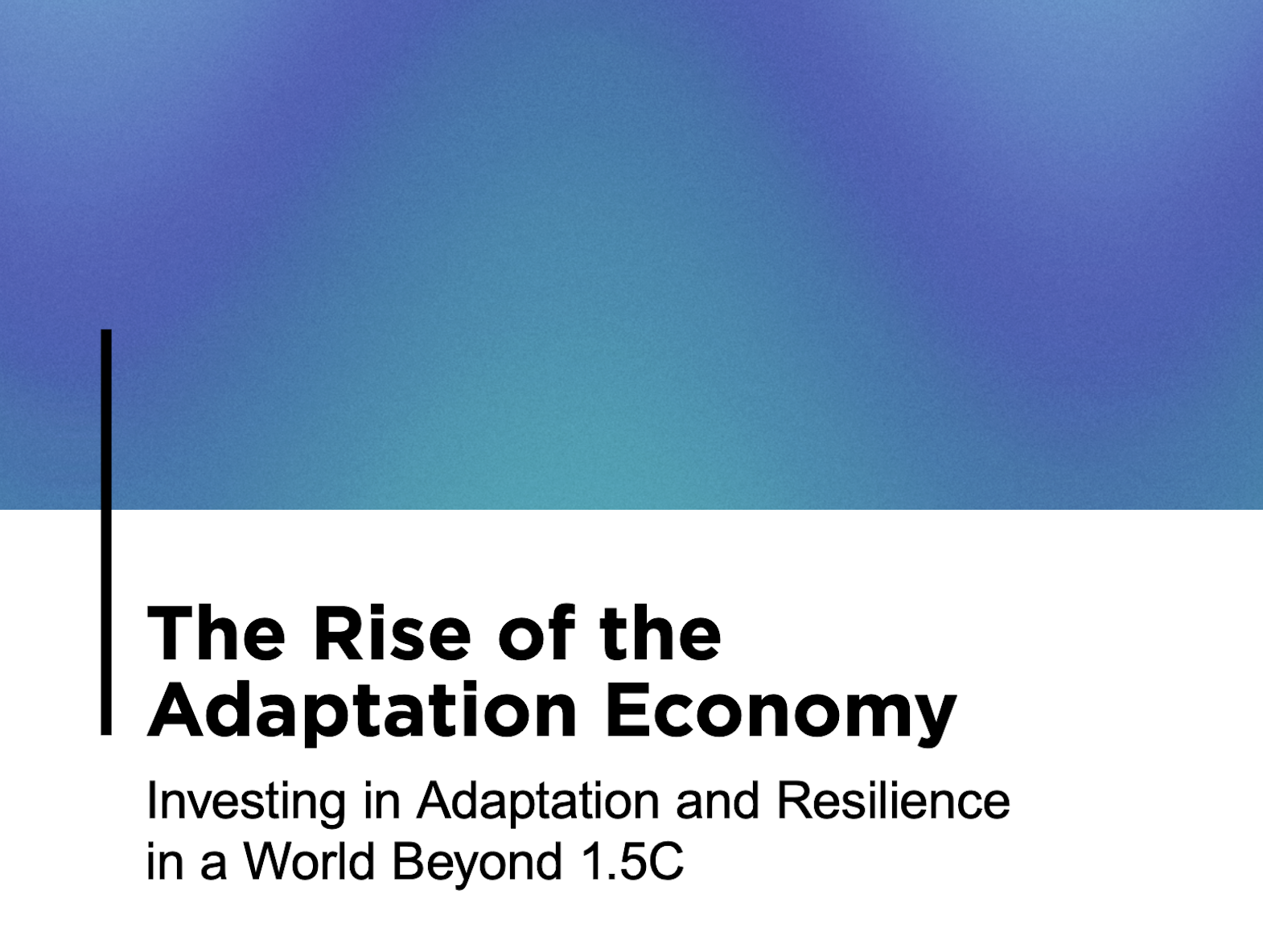 The Rise of the Adaptation Economy