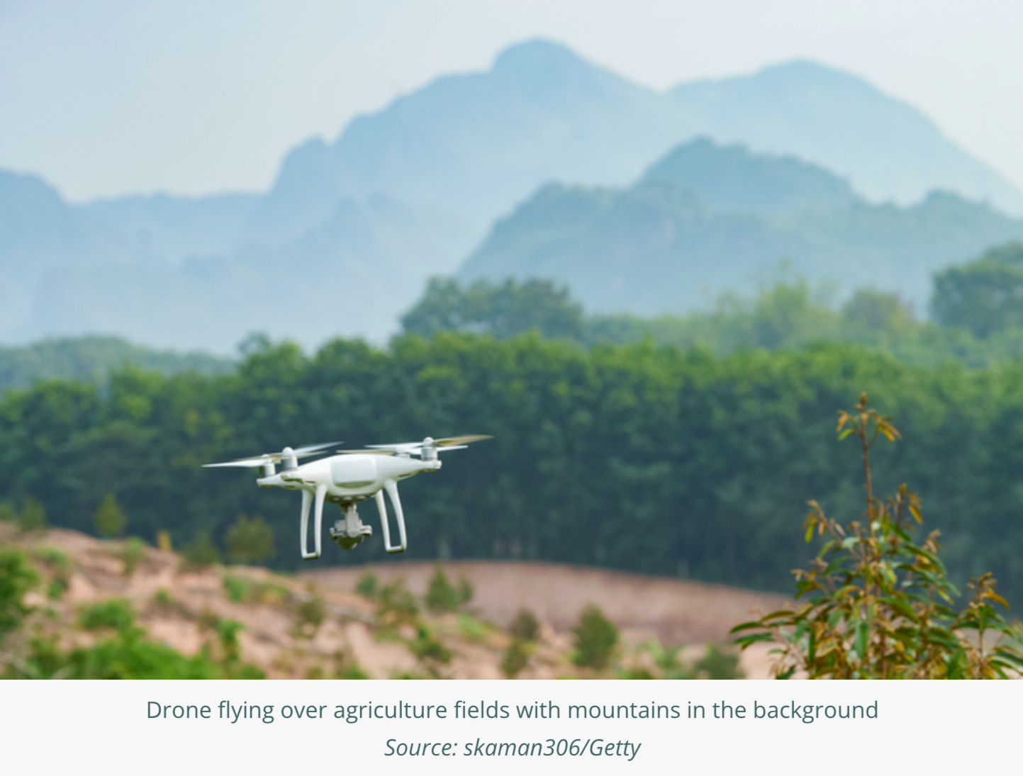 China Wants to Automate Conservation 