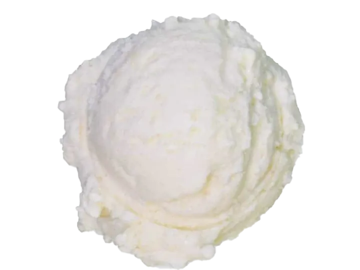 A scoop of vanilla ice cream in a bowl.