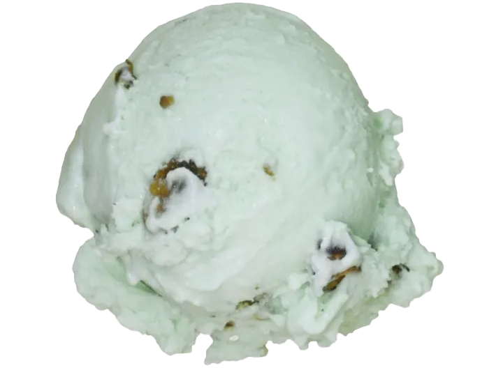 A single scoop of vanilla ice cream with chocolate chips in a white background.