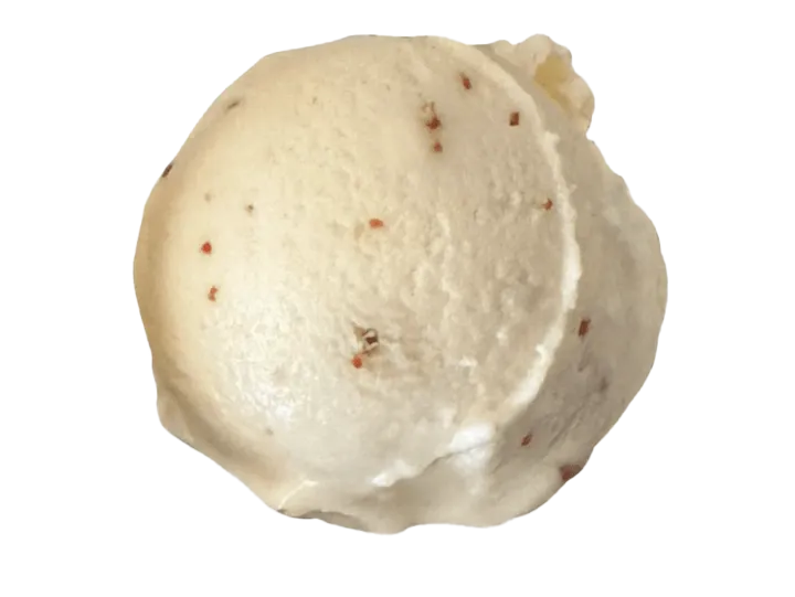 A close-up of a single scallop shell on a white background.