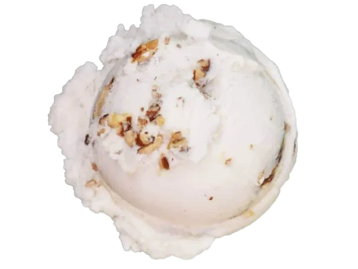 Single scoop of vanilla ice cream with nuts in a bowl.