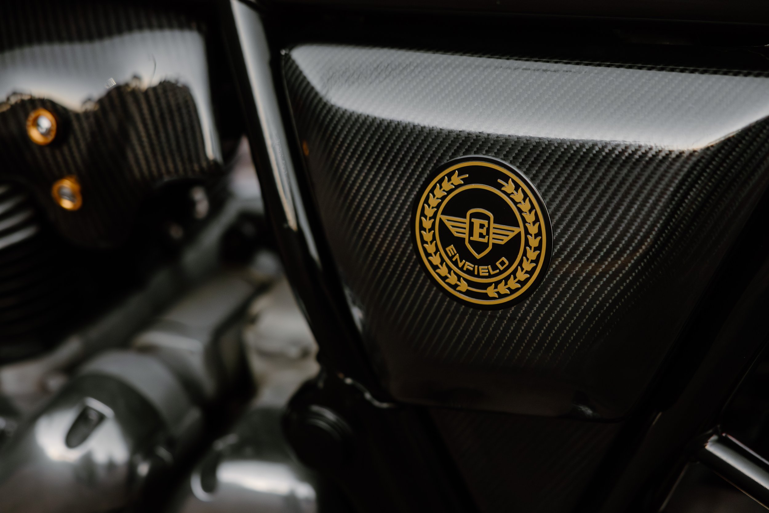 R6II6486.jpg