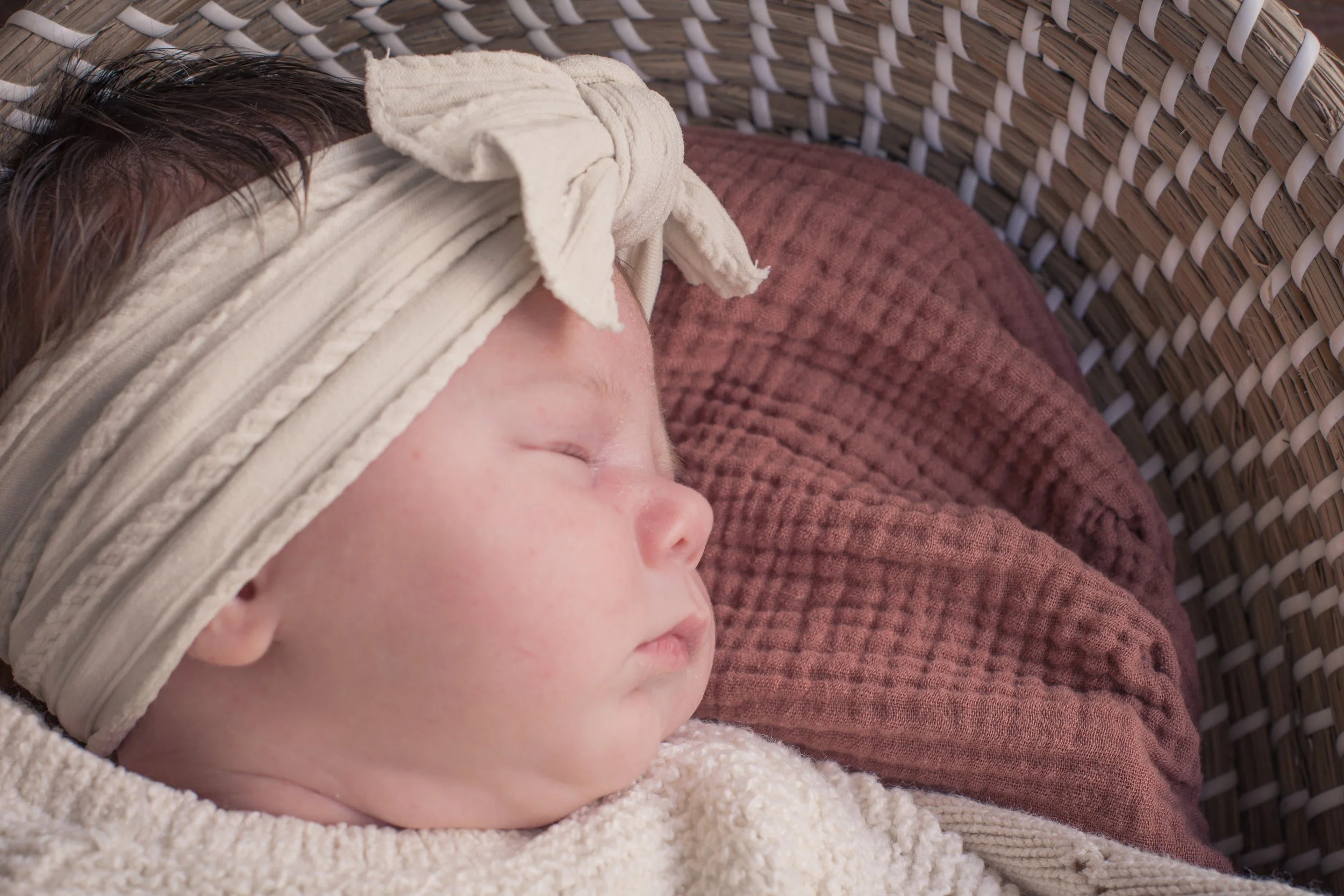Newborn Session       Gift