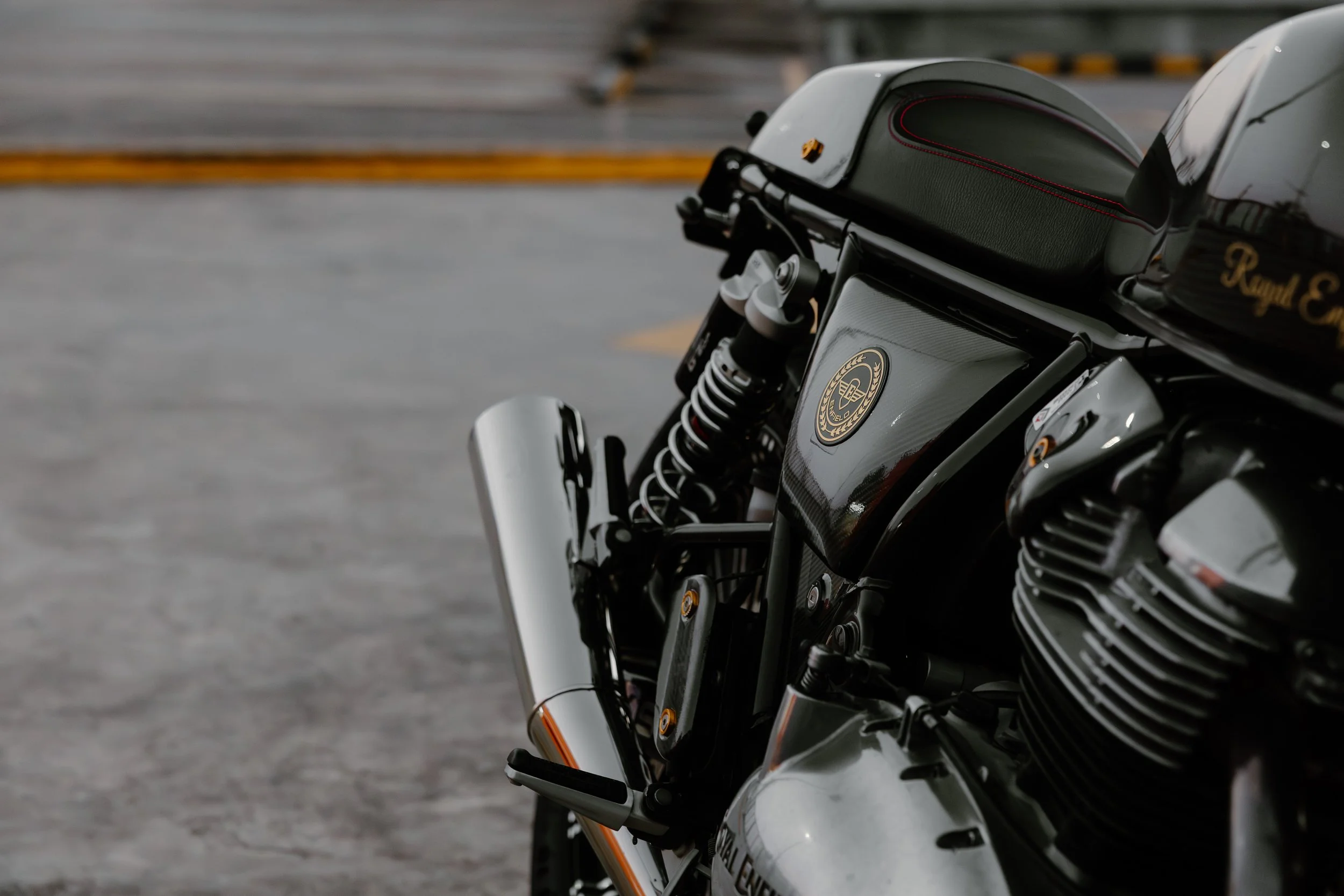R6II6504.jpg