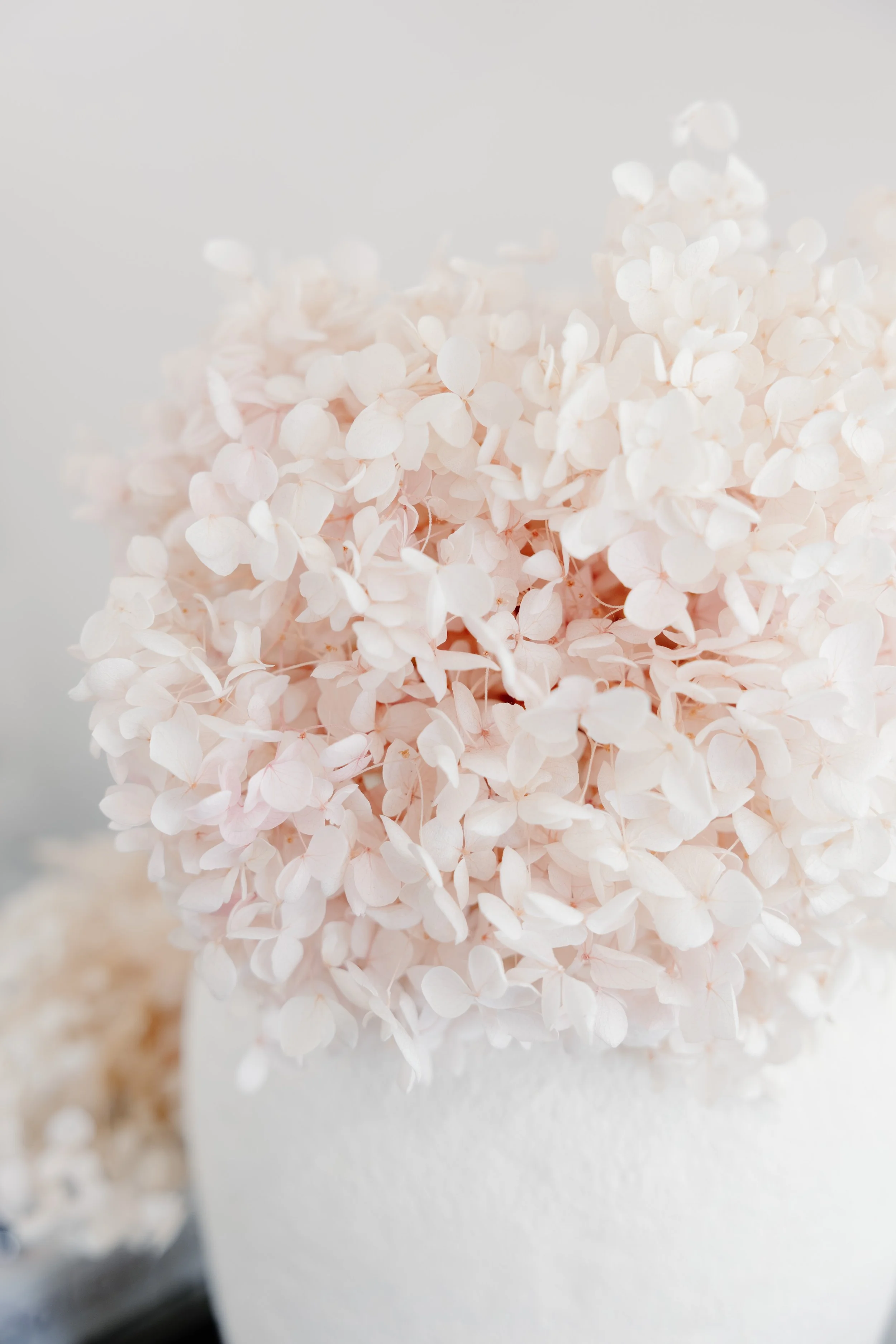 maitland-wedding-photography-naturalee-photography-8042.jpg